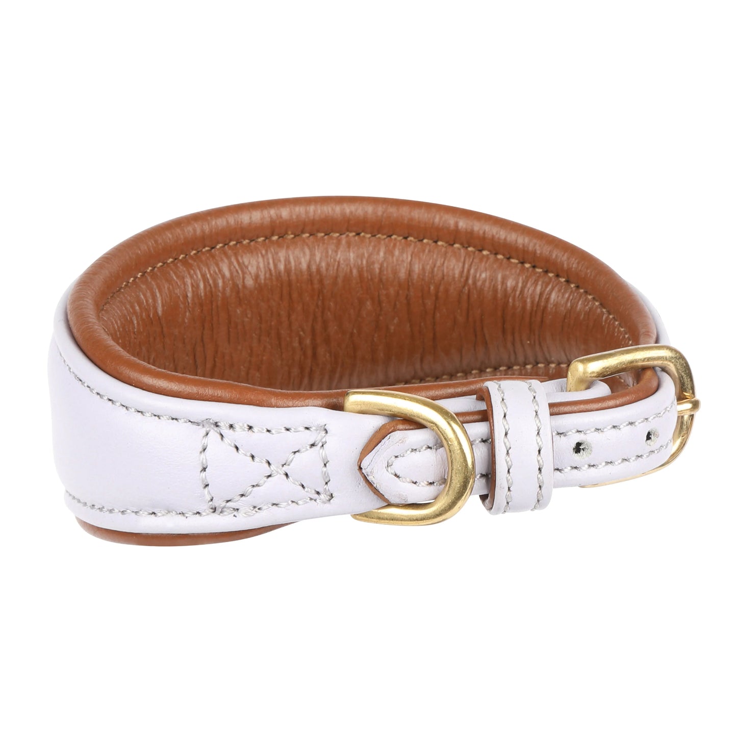 Leather Padded Greyhound Collar by Digby & Fox