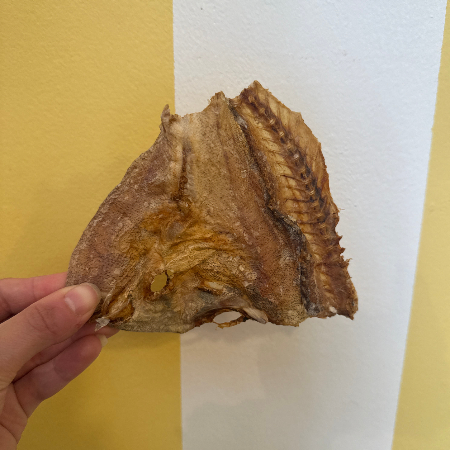 Dried Cod Skin Chews