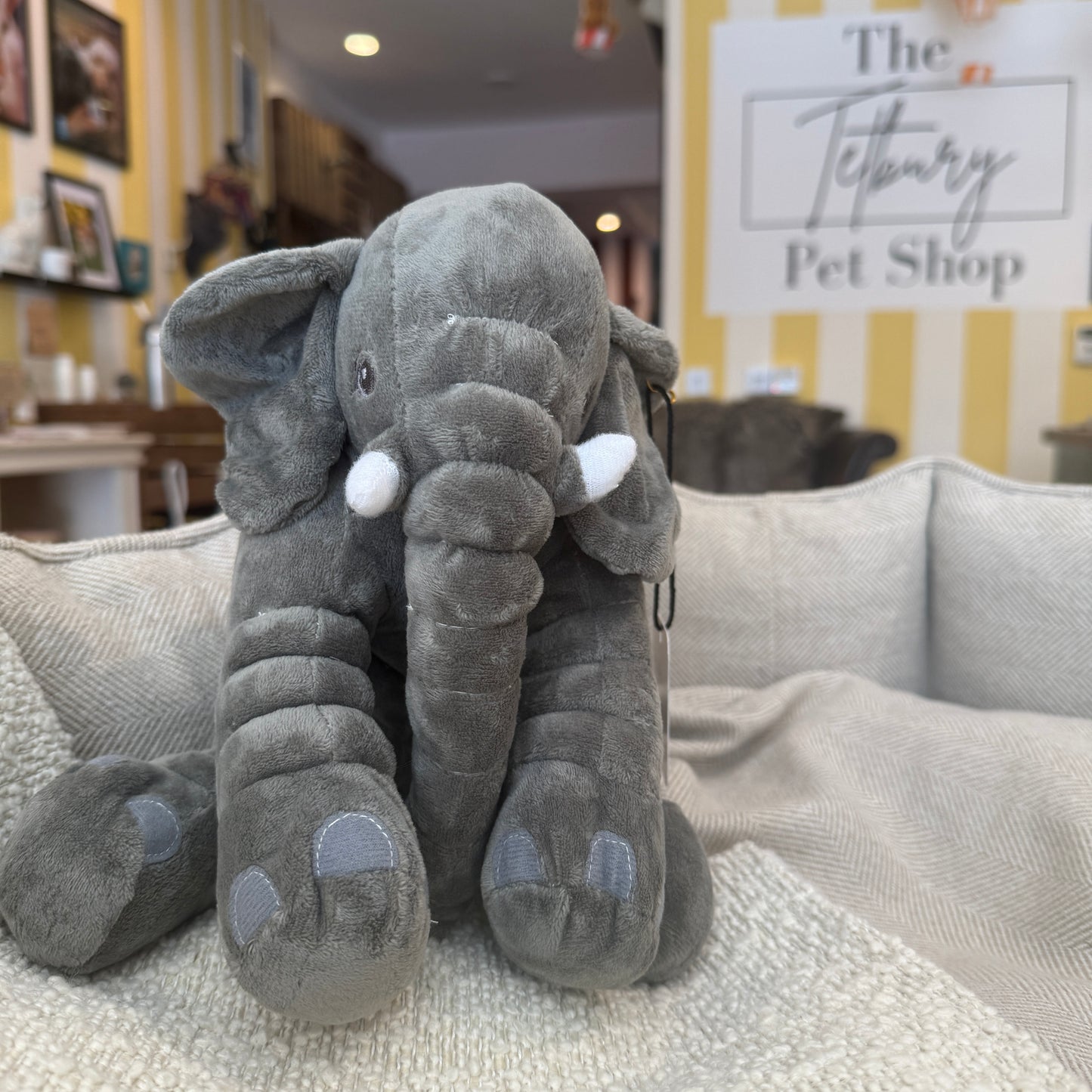 Plush Elephant Toy