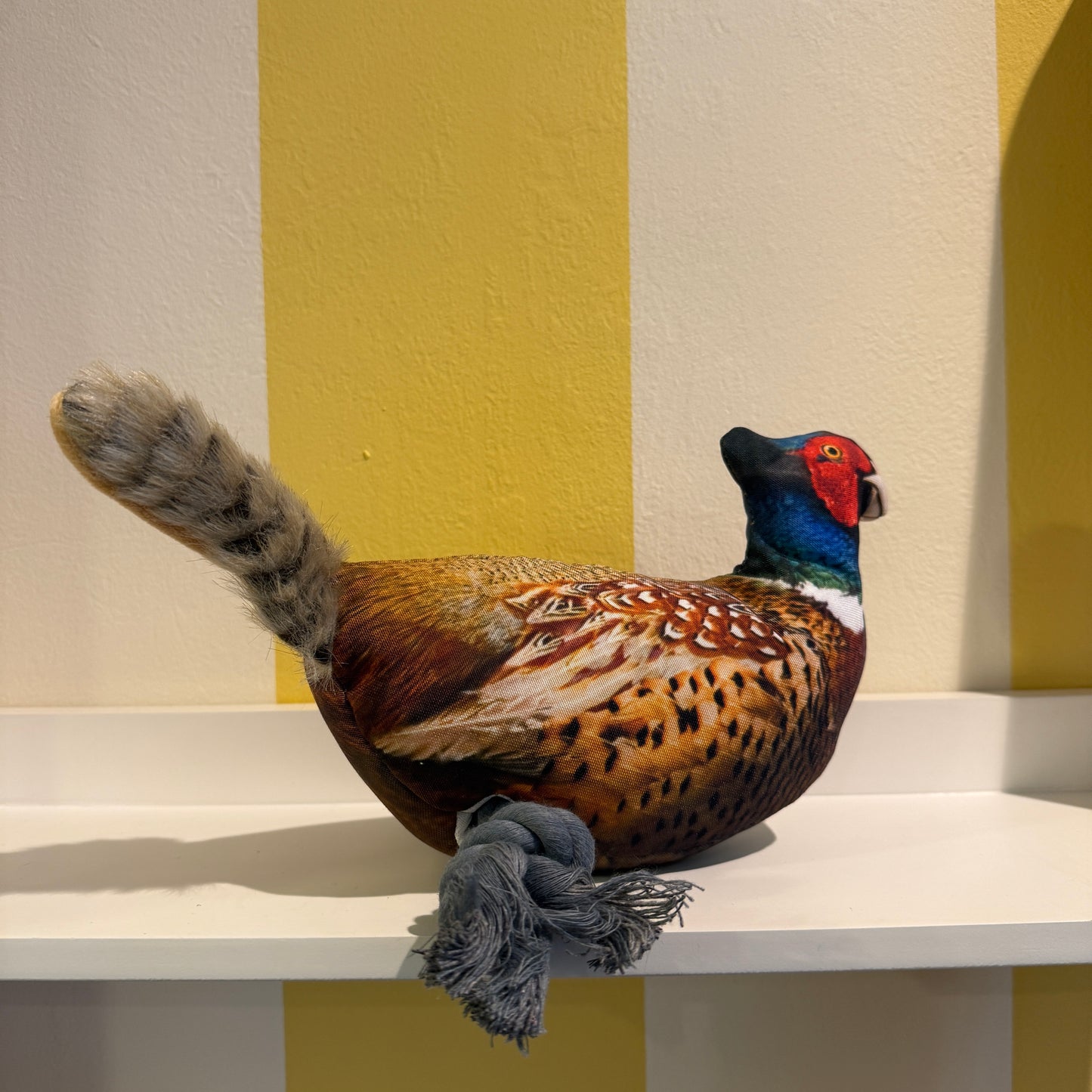 Colorful pheasant dog toy on a white surface with a yellow and white striped wall in the background