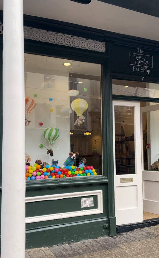 An introduction to The Tetbury Pet Shop