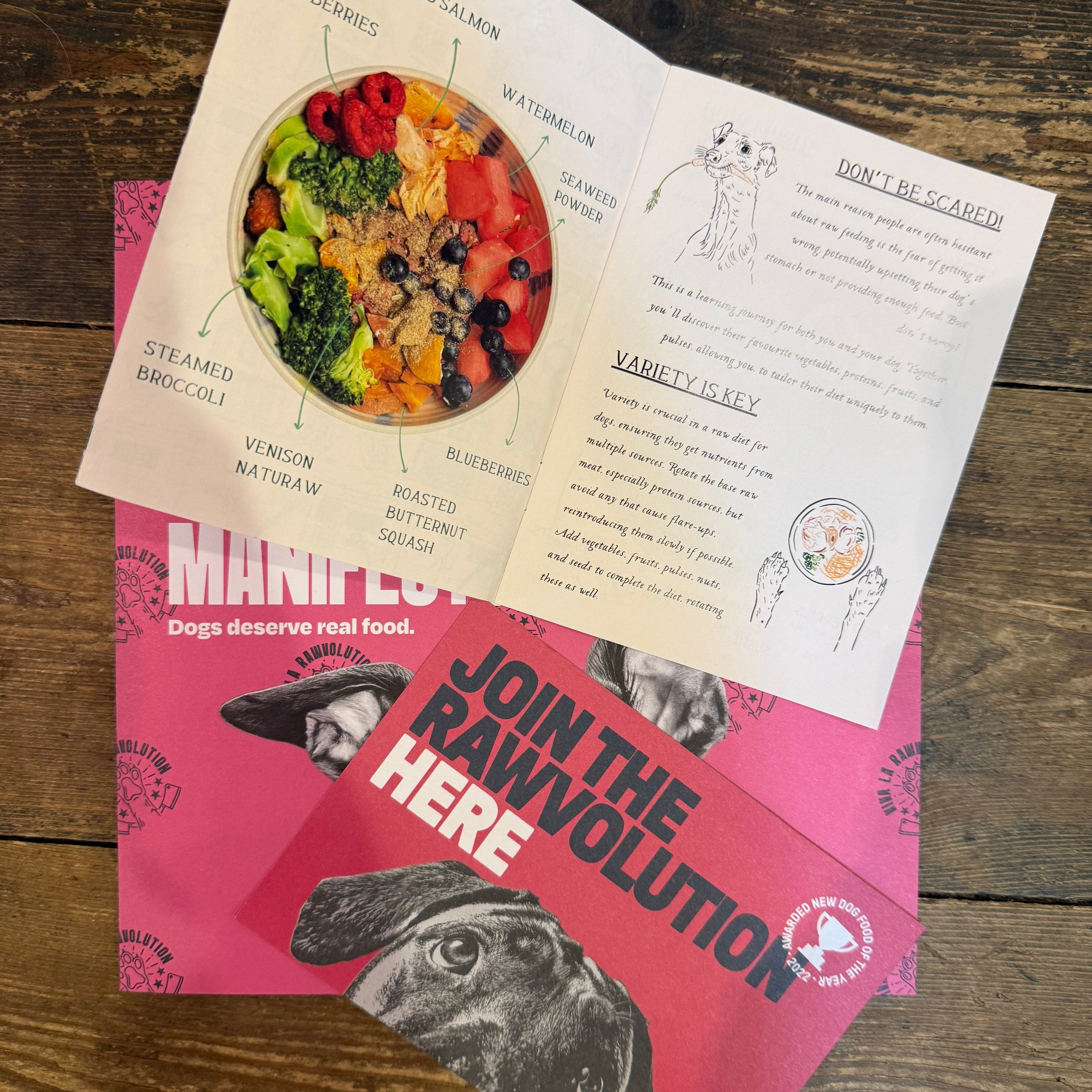 Why We Recommend Feeding Raw or Home-Cooked Meals to Your Pets