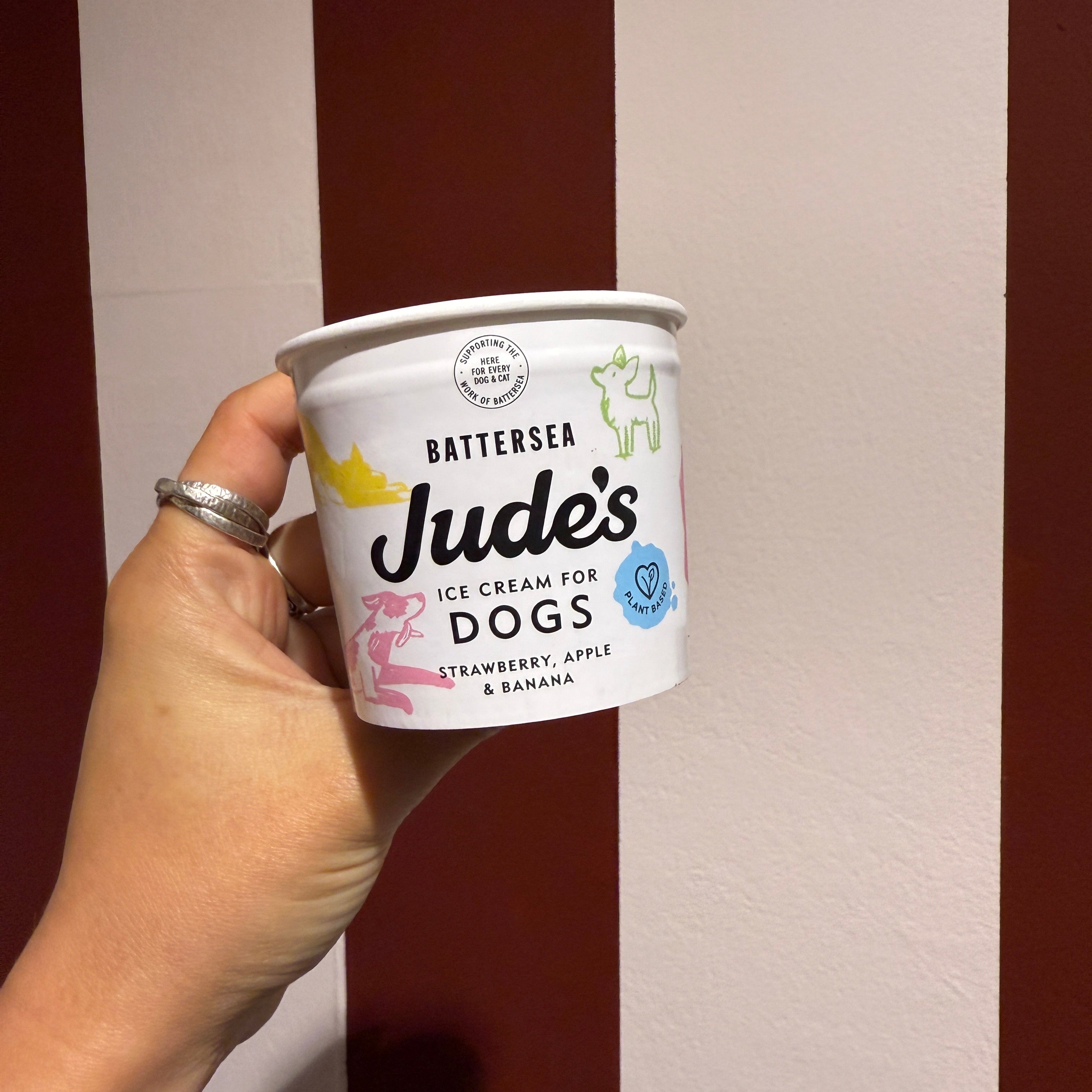 Jude's Dog Ice Cream