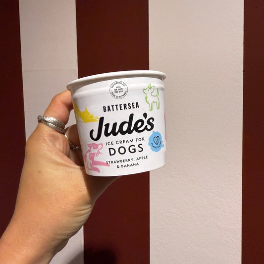 Jude's Dog Ice Cream
