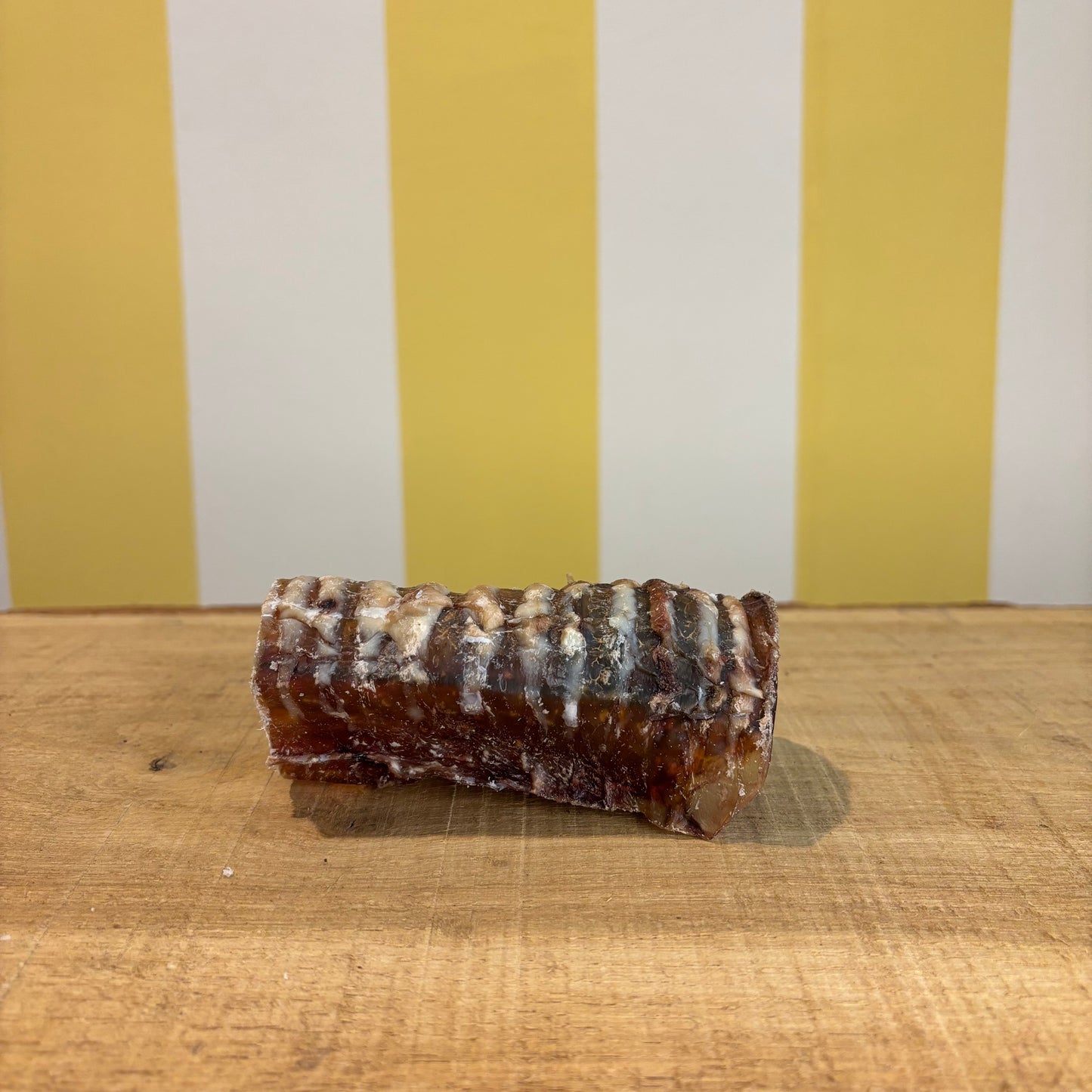 A single Beef Trachea chew, known for supporting joint health, sits on a wooden surface with visible marbling and texture, set against a yellow and white striped background.
