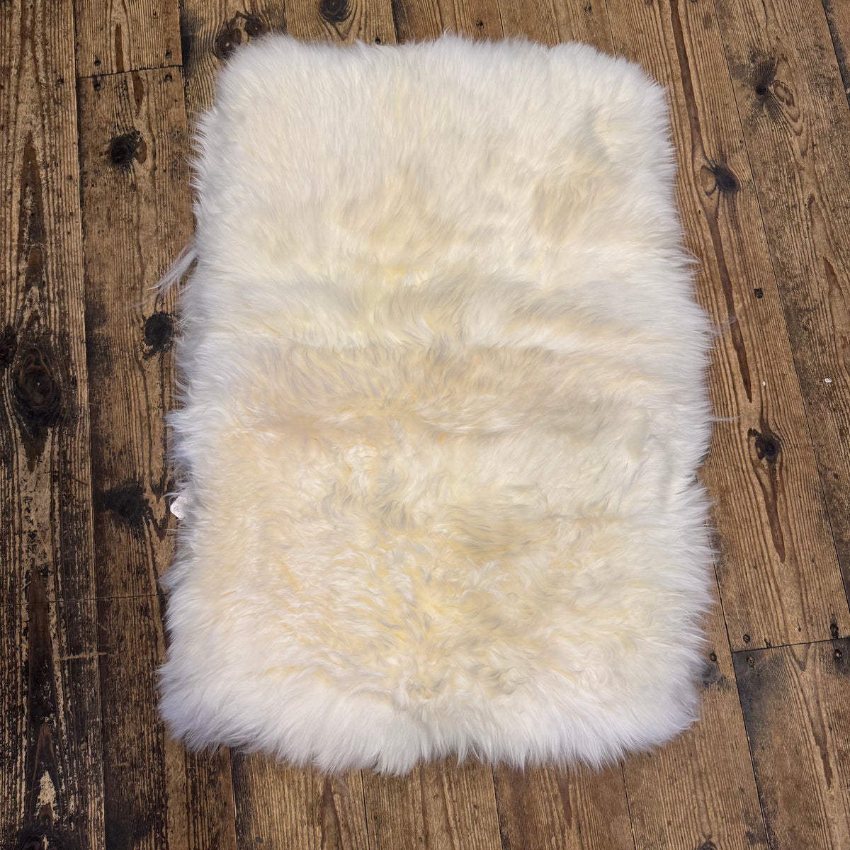 🐑 Genuine British Sheepskin – Natural Dog Bed & Pet Mat