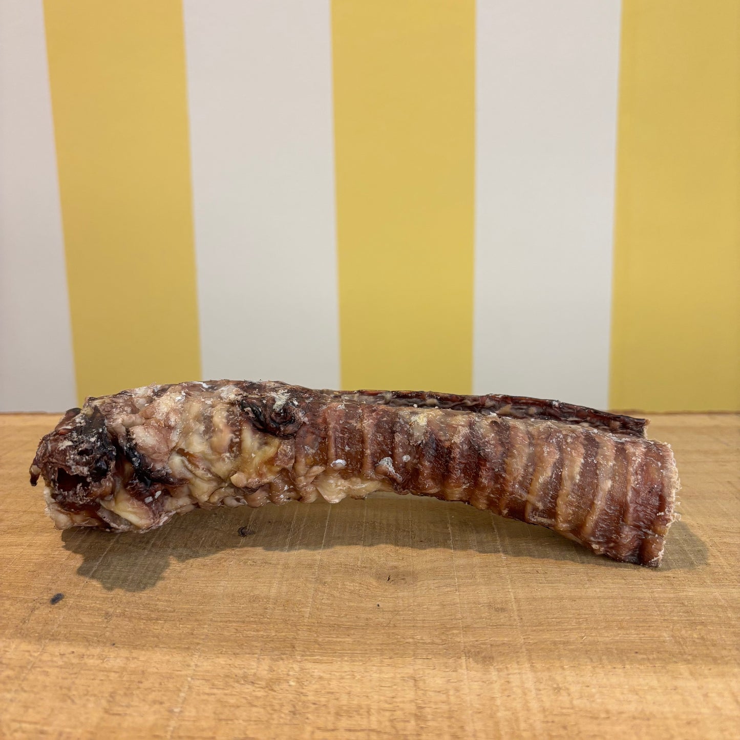 A dried beef trachea, a delicious natural dog chew, sits on a wooden surface with a yellow and white striped background.