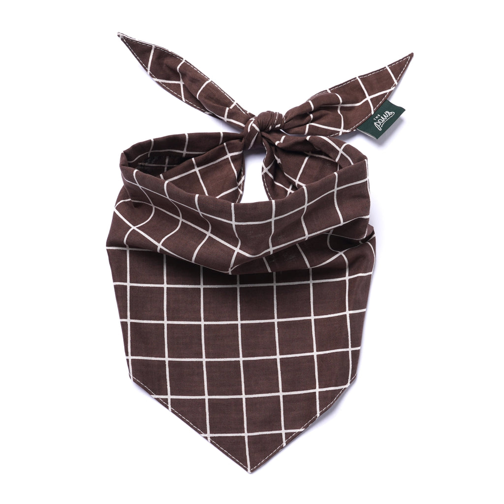 The Paws Dog Bandanas
