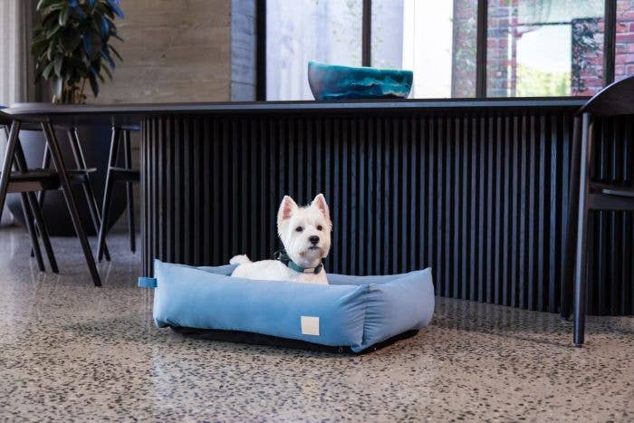 FuzzYard Life Cotton Bed in French Blue lifestyle photo