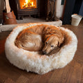 🐑 British Sheepskin Donut Dog Bed