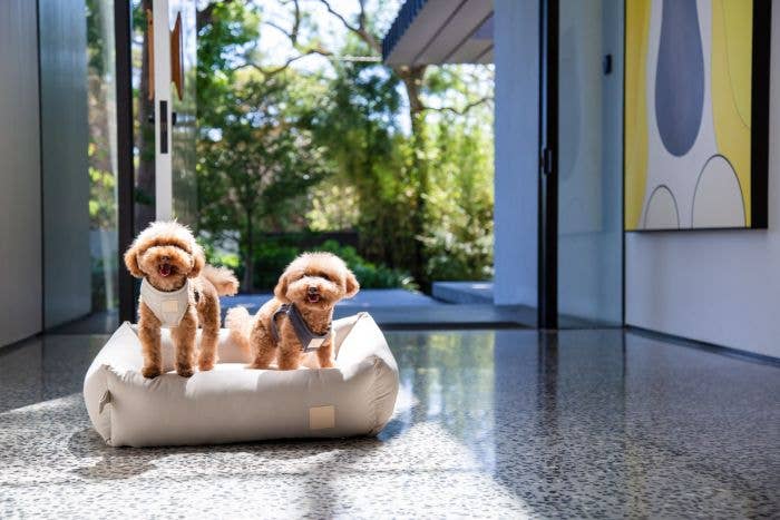 FuzzYard Life Cotton Bed in Sandstone lifestyle photo