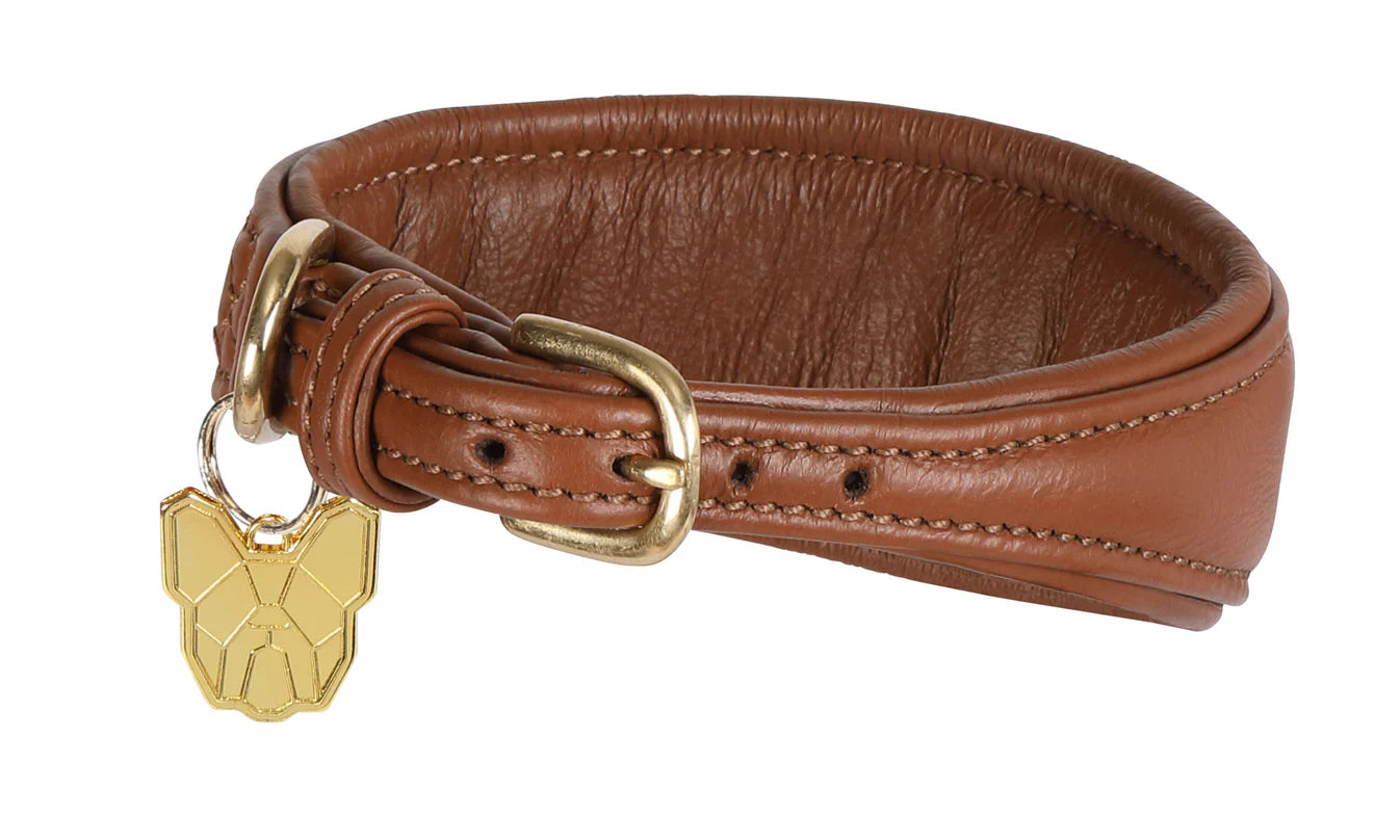Leather Padded Greyhound Collar by Digby & Fox