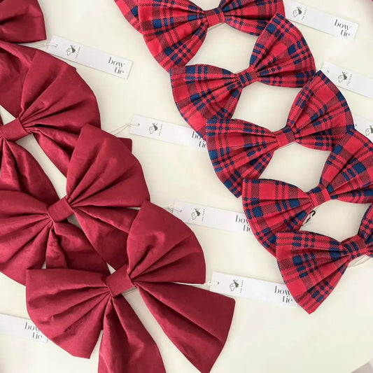 The Paws Christmas Bow Collection