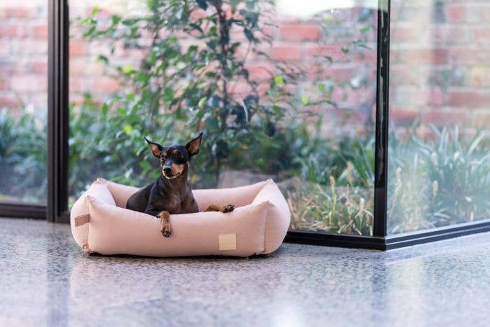 FuzzYard Life Cotton Bed lifestyle photo