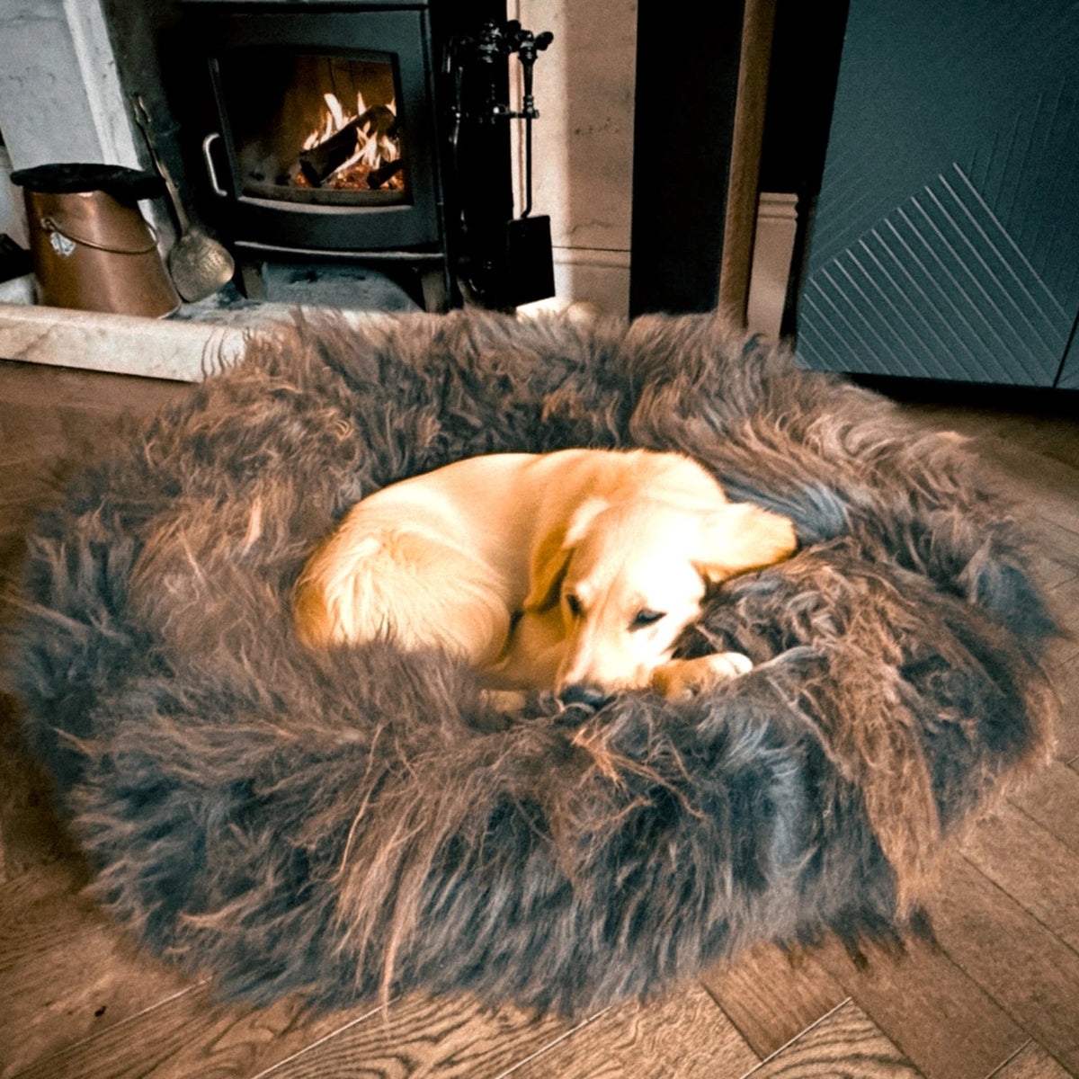 🐑 British Sheepskin Donut Dog Bed