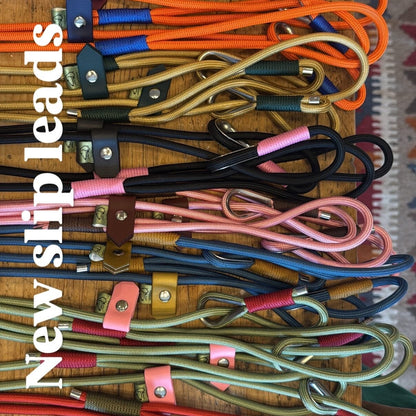 Rope Slip Lead