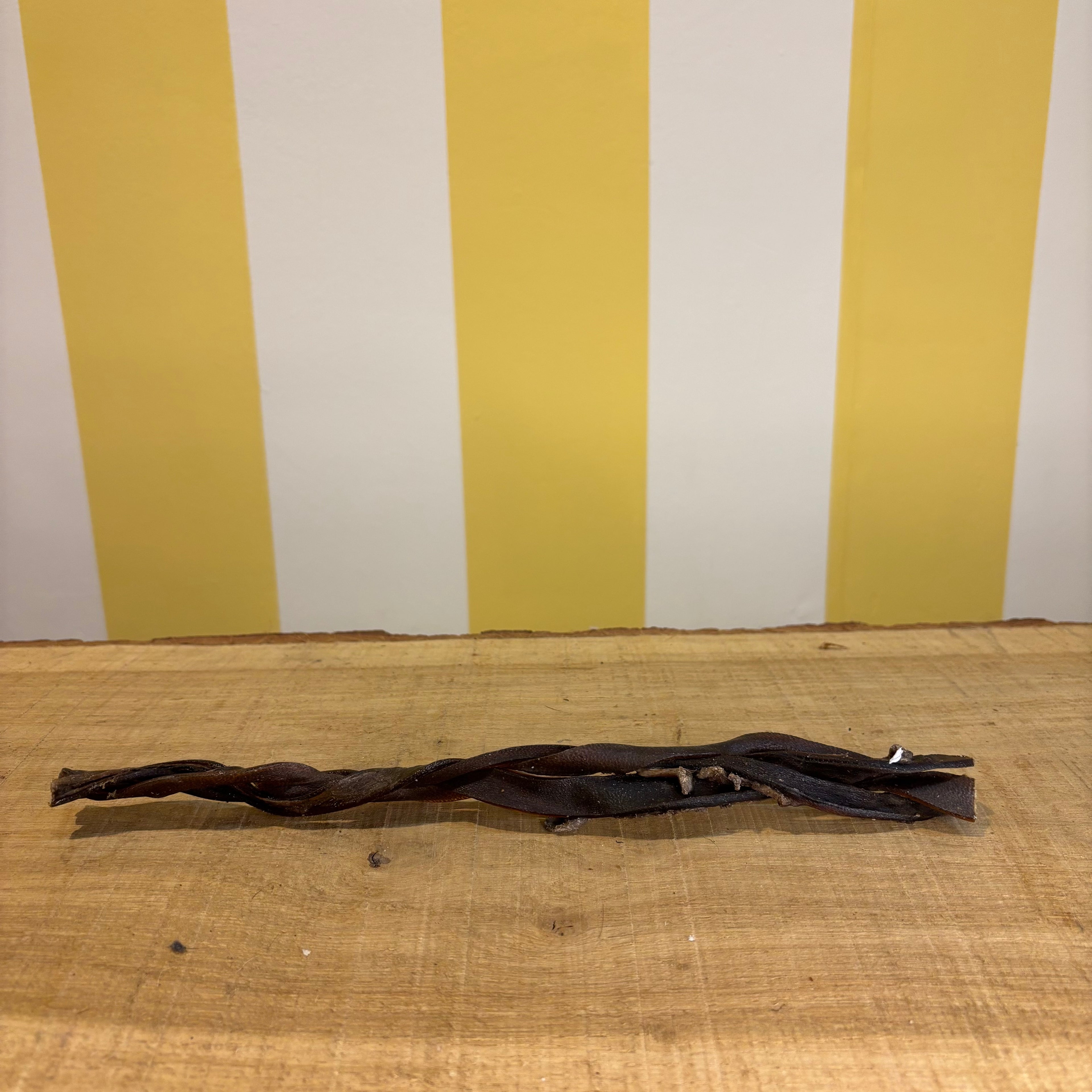 A strip of Braided Camel Skin, dark brown and twisted like a chew, rests on a wooden surface against a yellow and white striped wall.