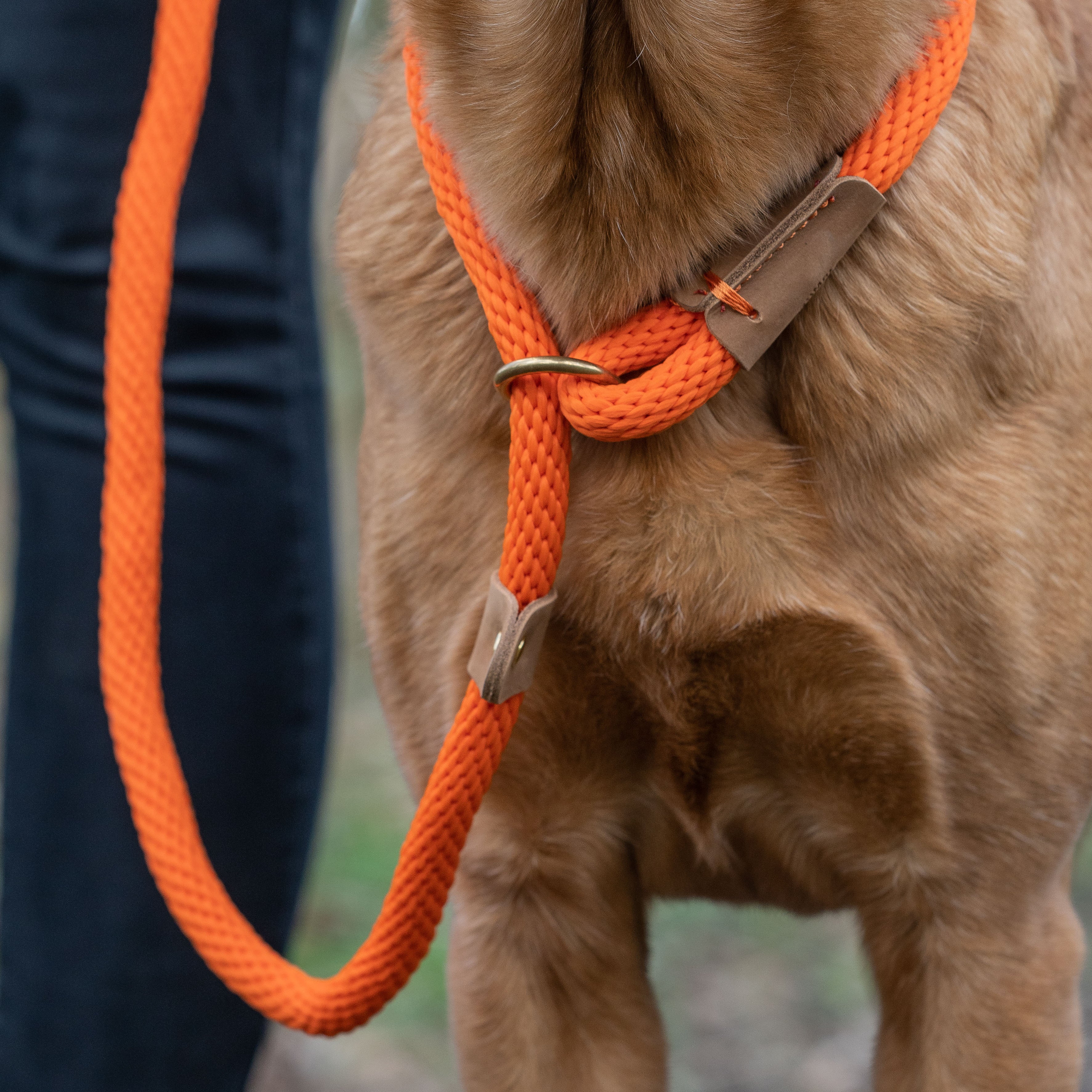 Ruff and Tumble Rope Leads