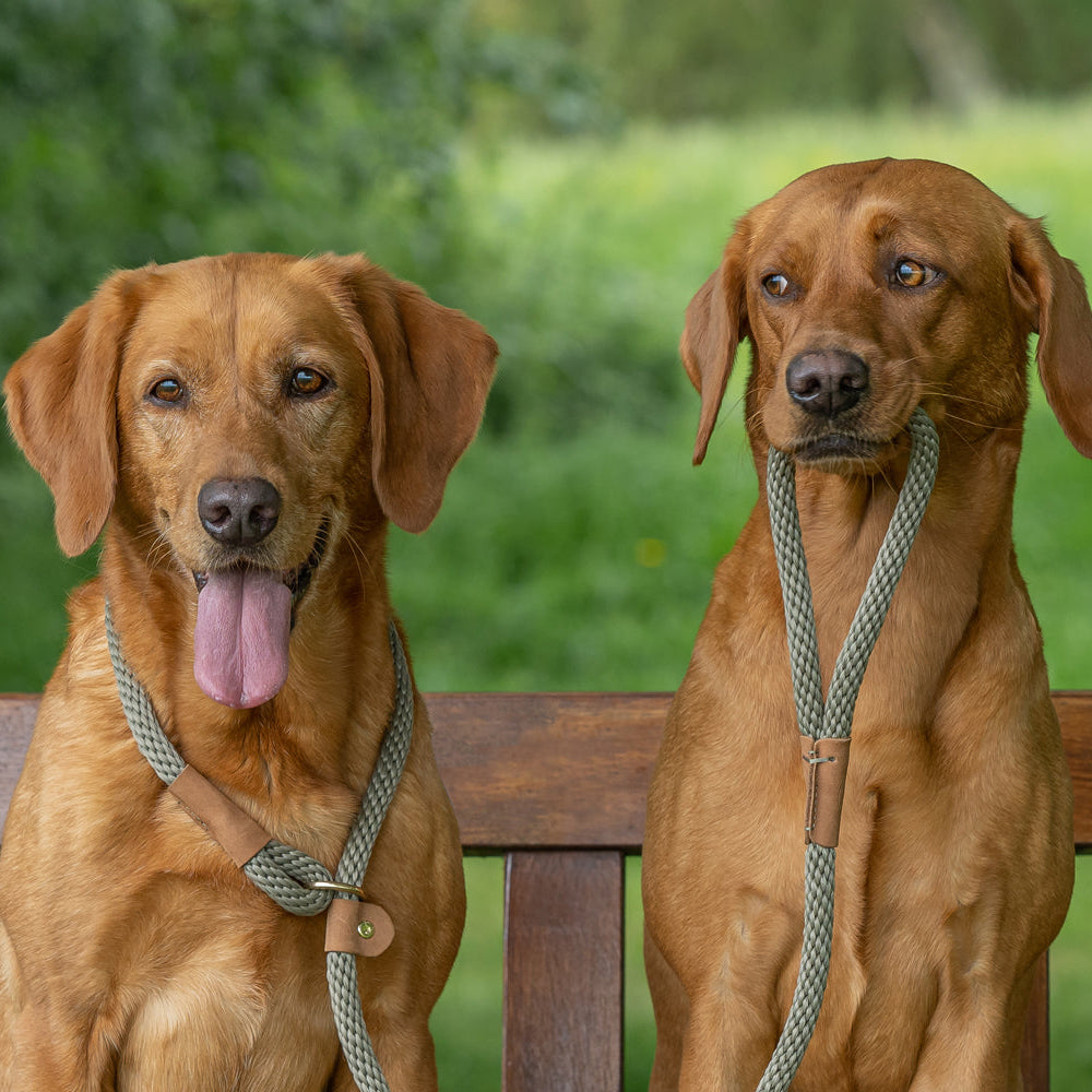 Ruff and Tumble Rope Leads