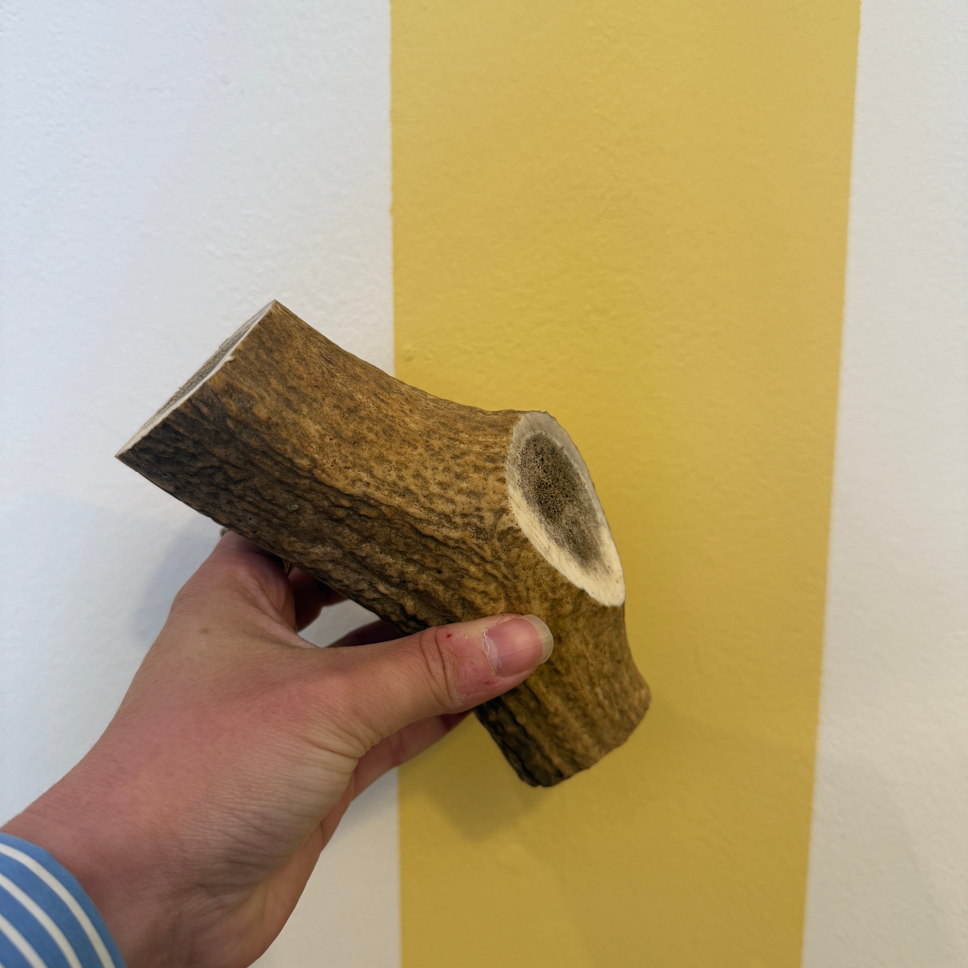 Cotswold Antler