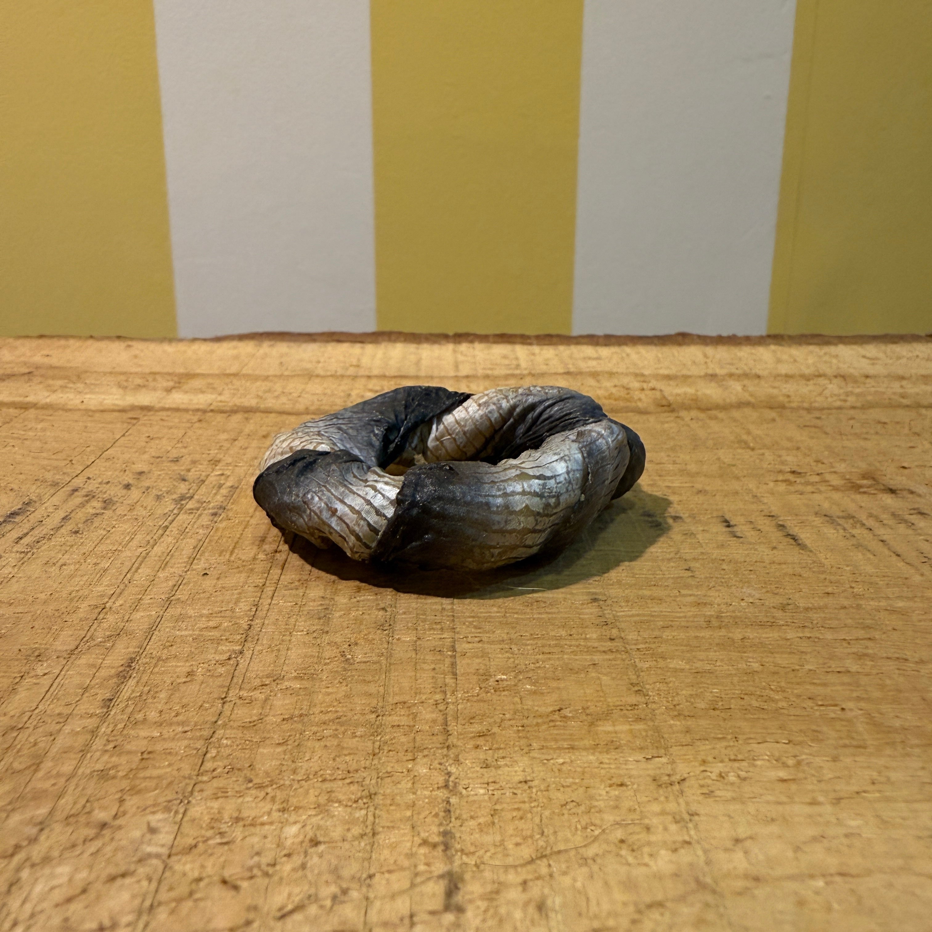 Fish Donut