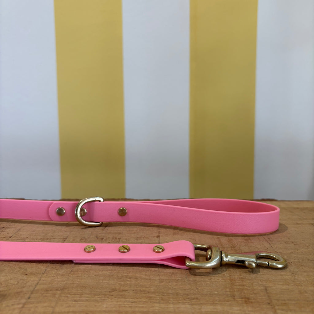 Franks Goods Biothane Lead
