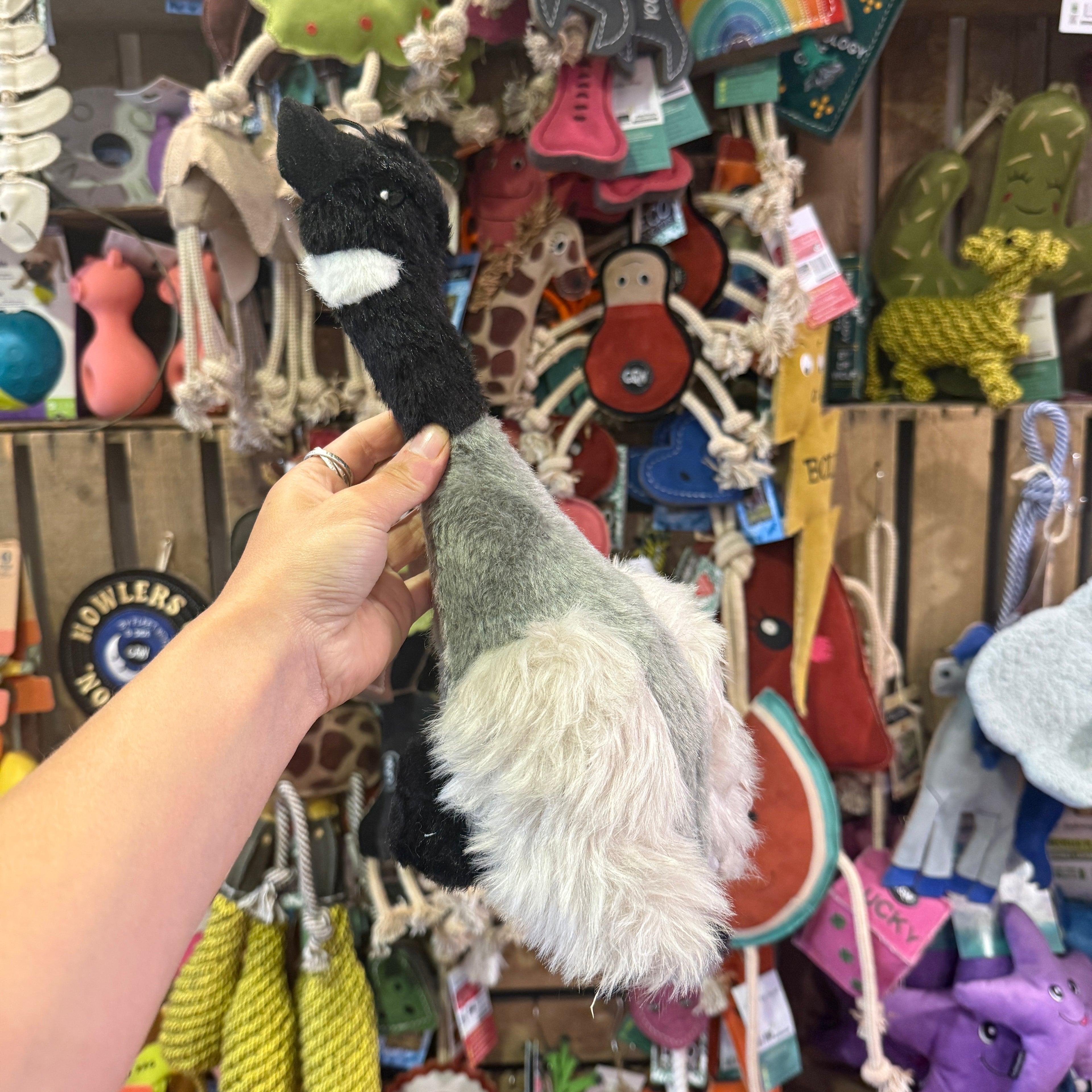 'Country Birds' Plush Toys 🦢🦆