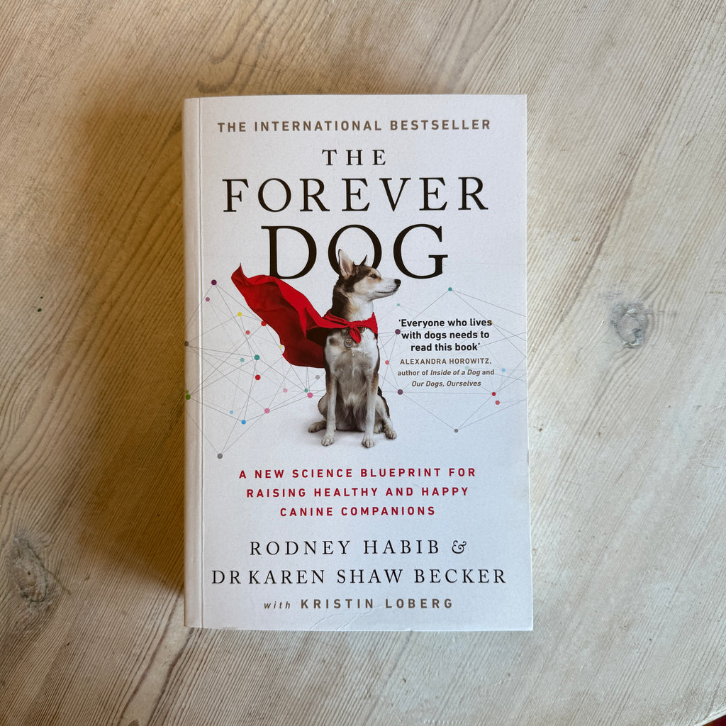 The Forever Dog
