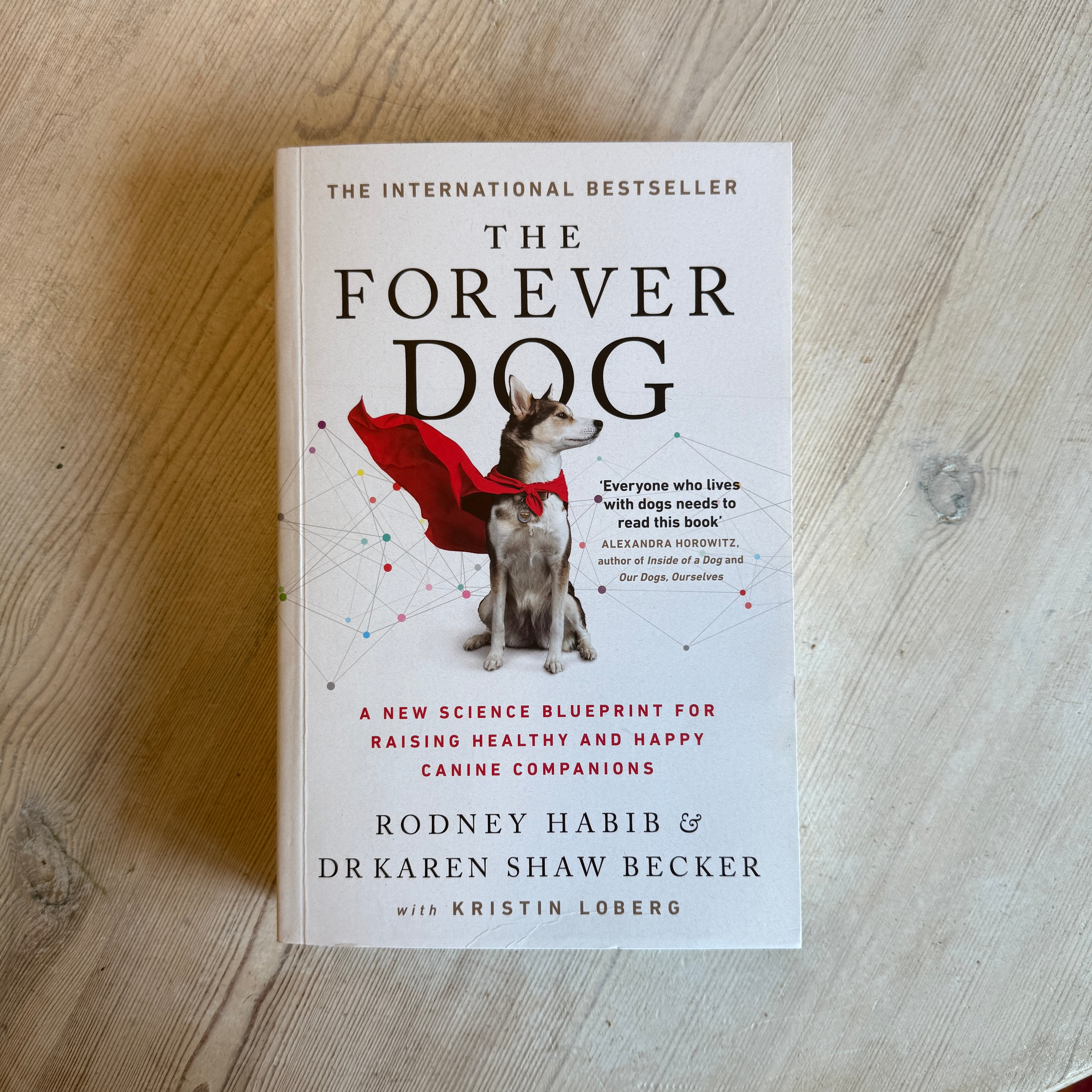The Forever Dog