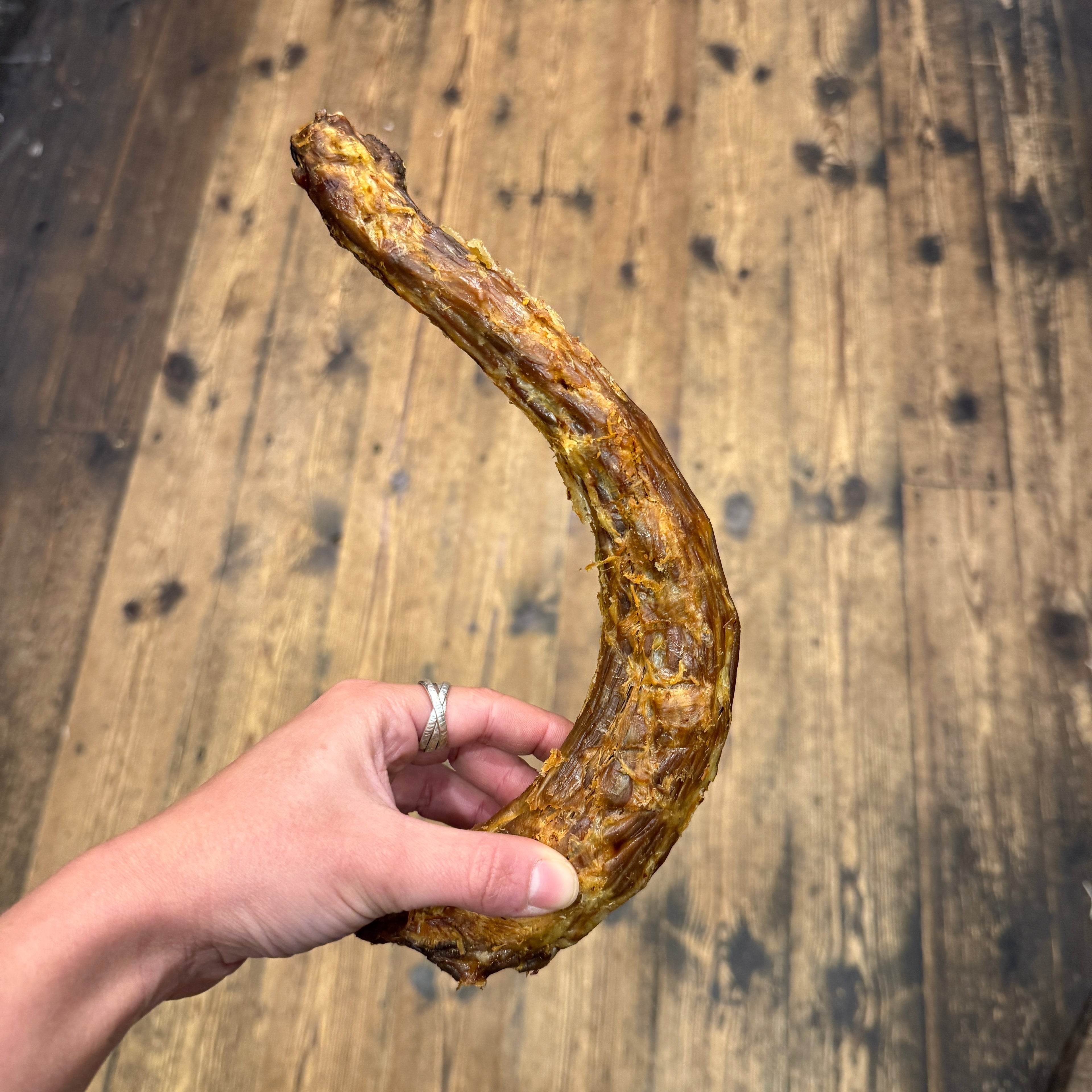 Turkey Neck