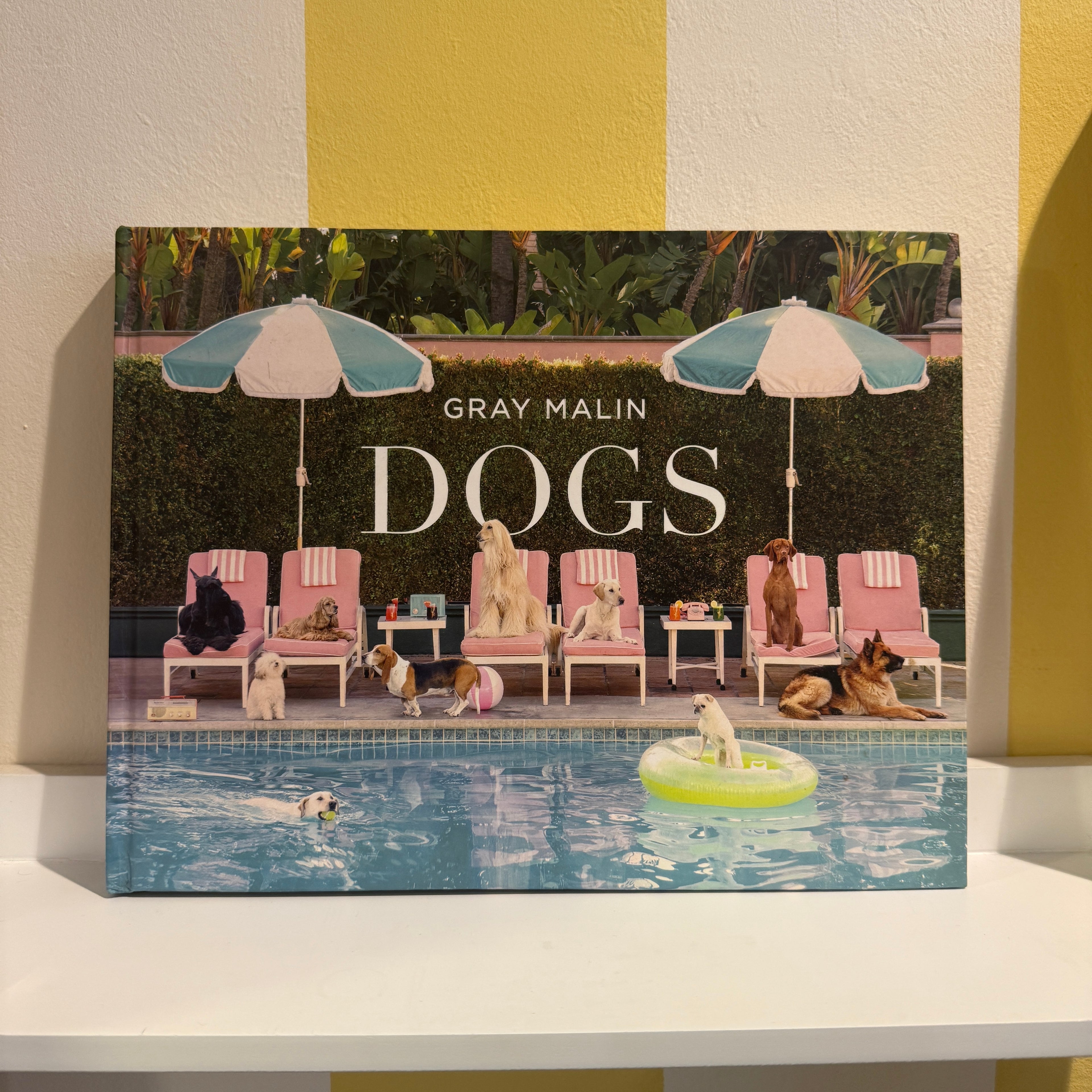 Gray Malin DOGS Photograph Coffee Table Book