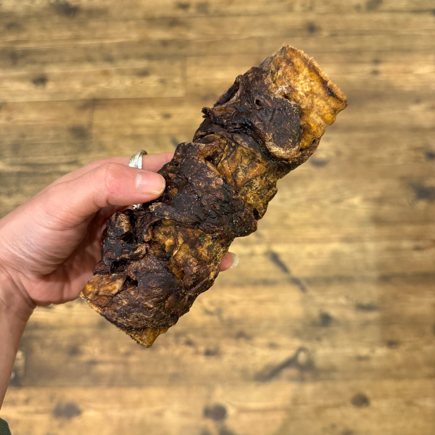 Wrapped Buffalo Trachea