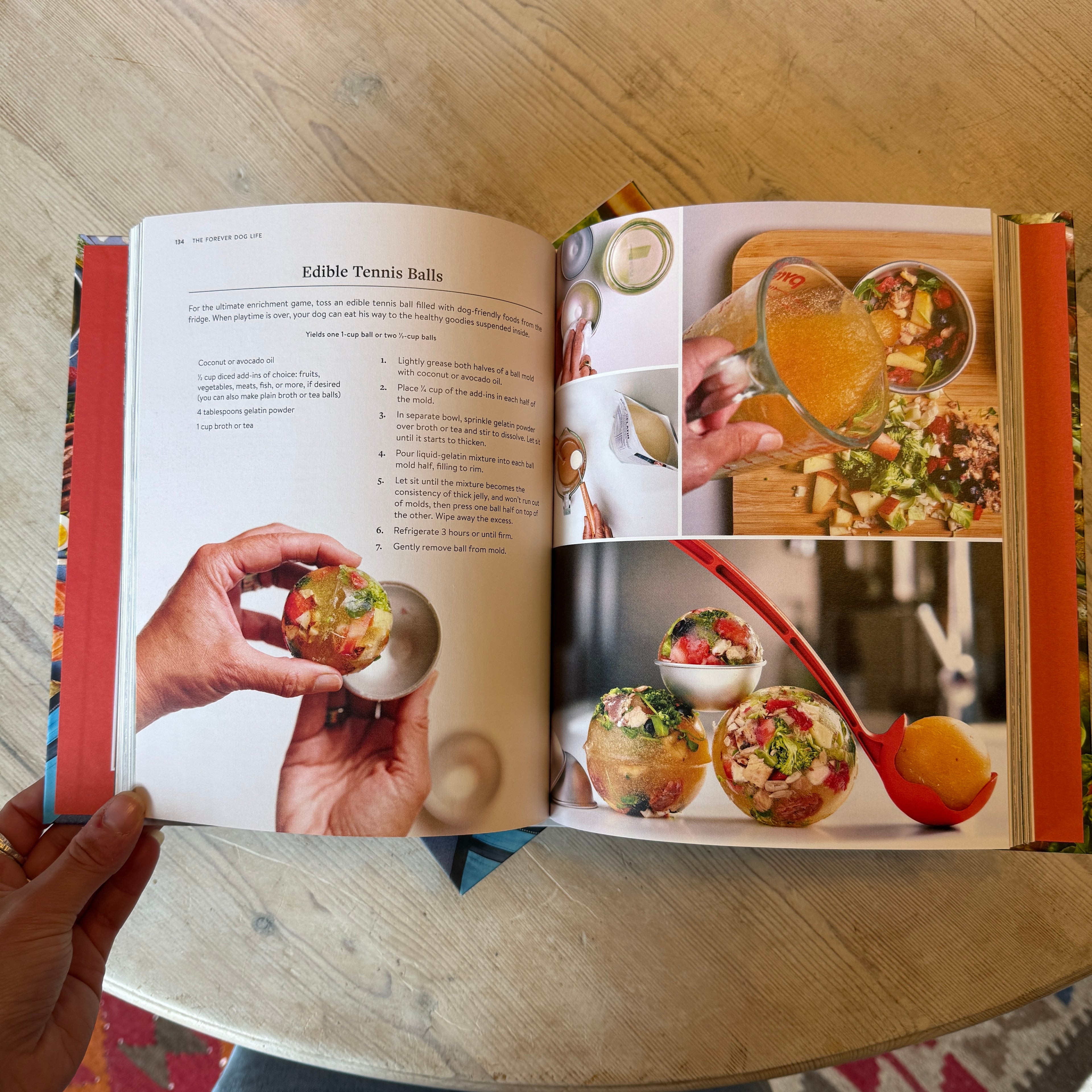 The Forever Dog Life Recipe Book