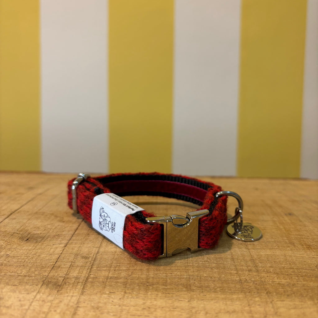 Stocky & Dee Standard Handmade Collar
