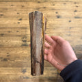 Ostrich Marrow Bone