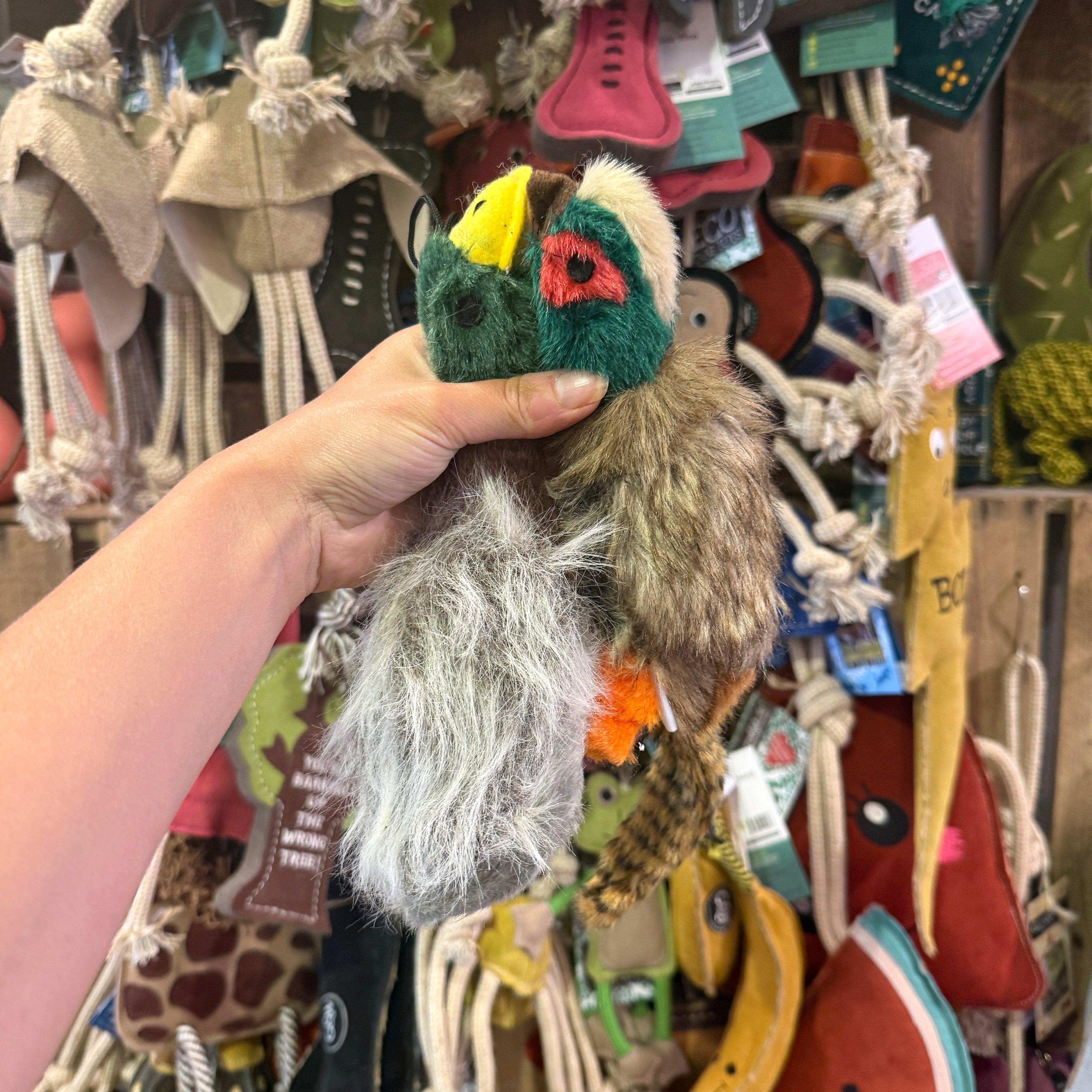 'Country Birds' Plush Toys 🦢🦆