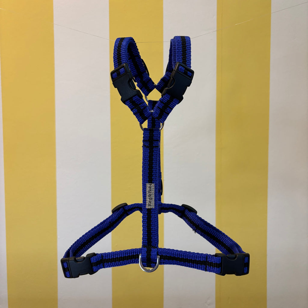 Reg & Bob Harness