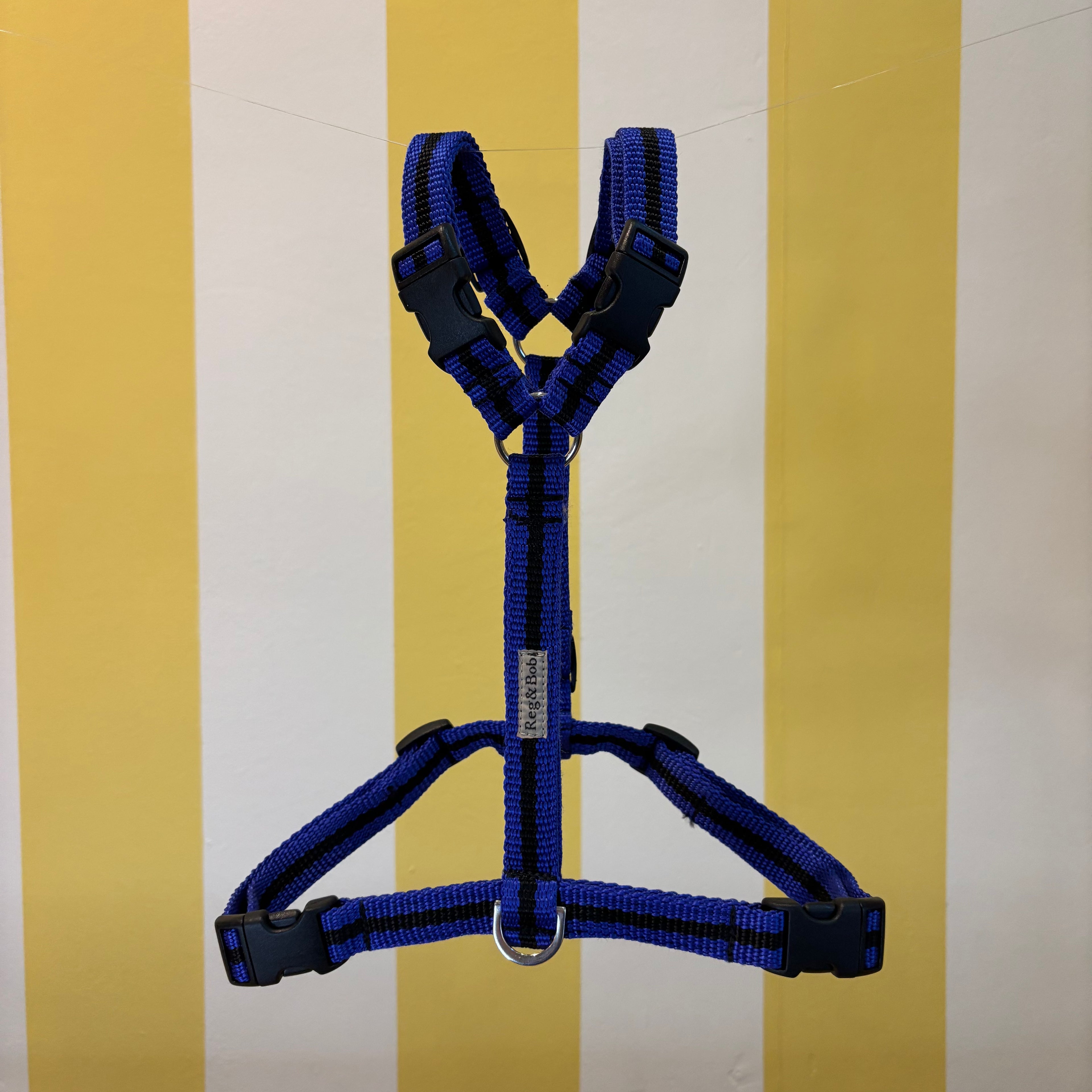 Reg & Bob Harness