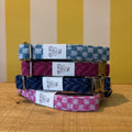 Stocky and Dee standard handmade dog collar at The Tetbury Pet Shop