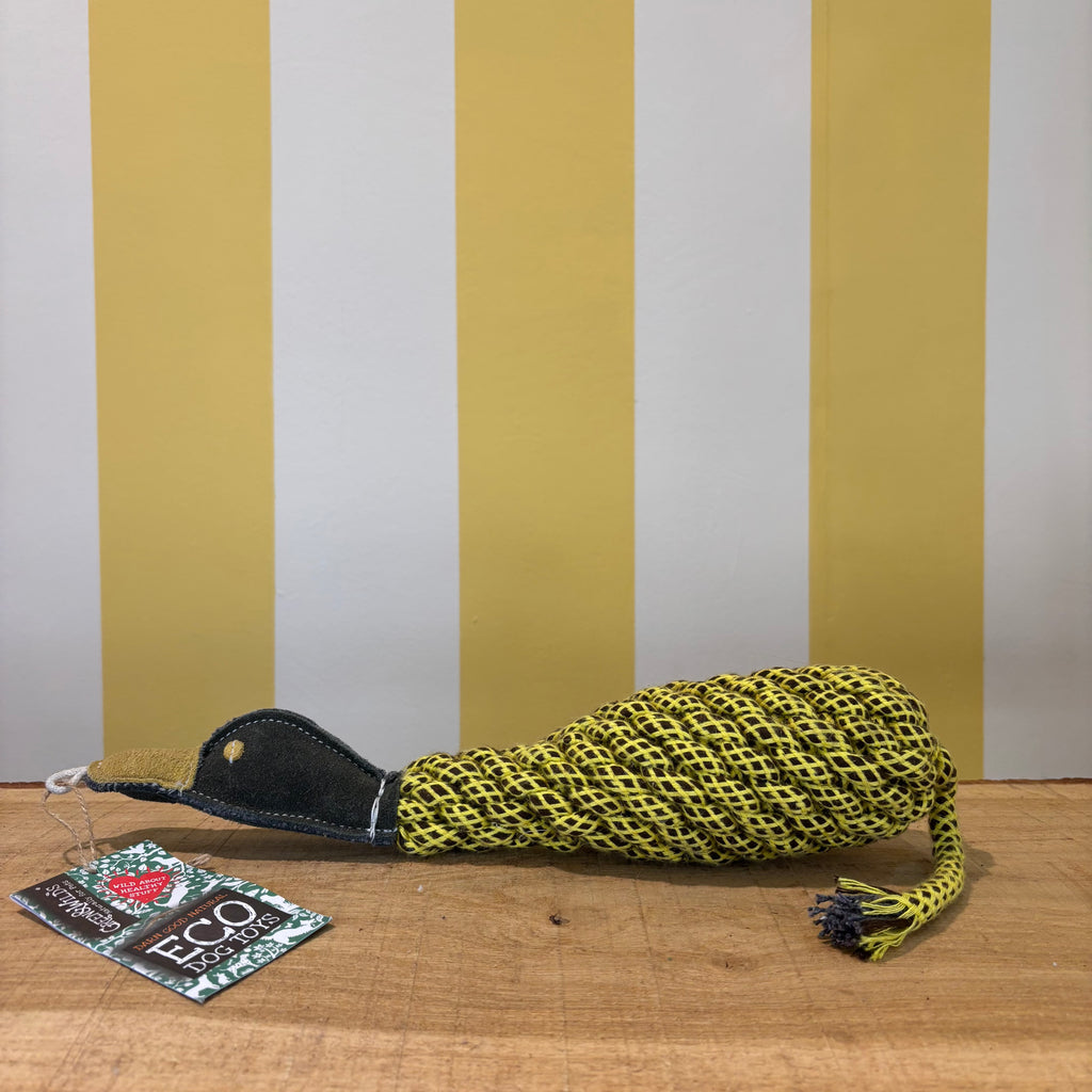 Green & Wilds Toys