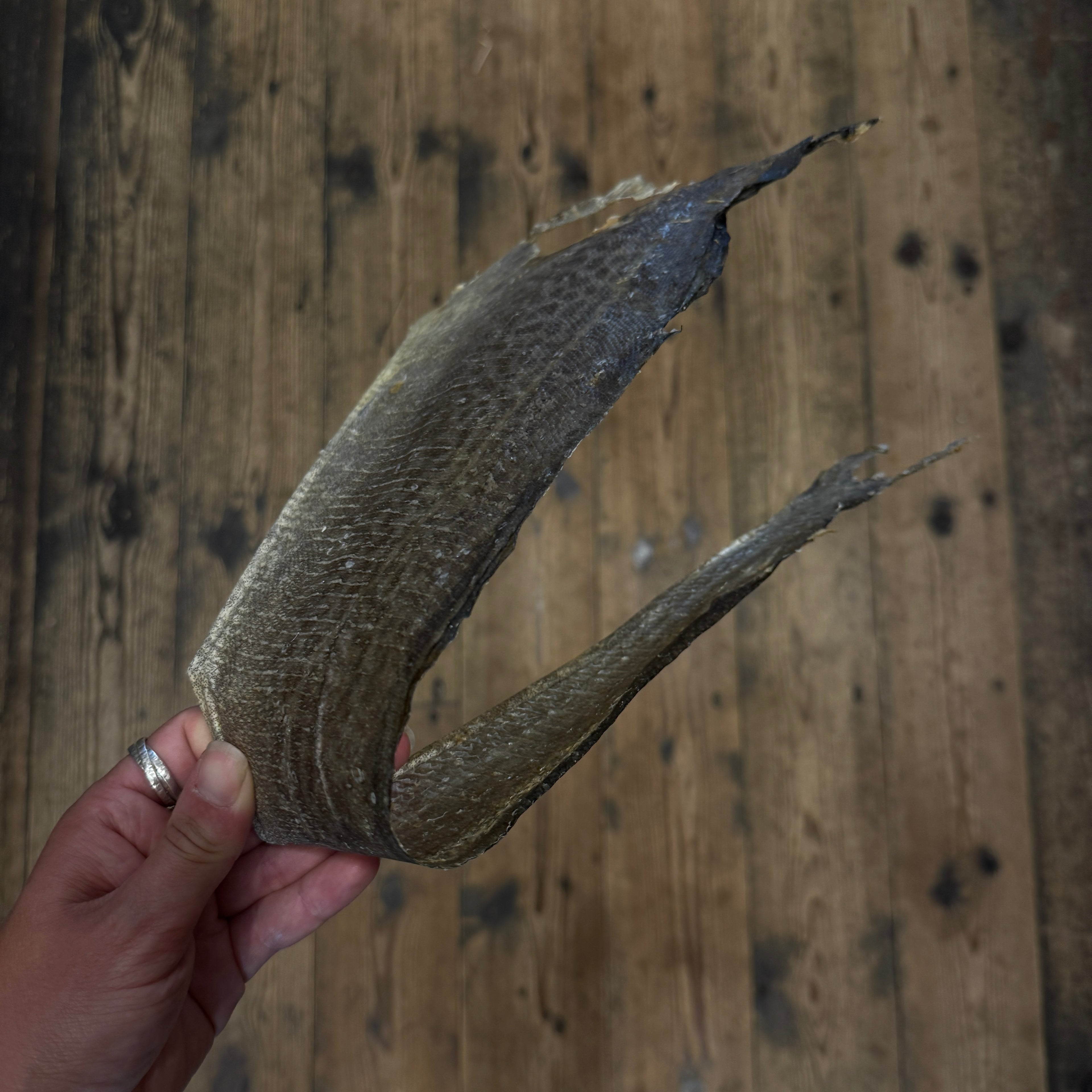 Cod Fish Skin Flats