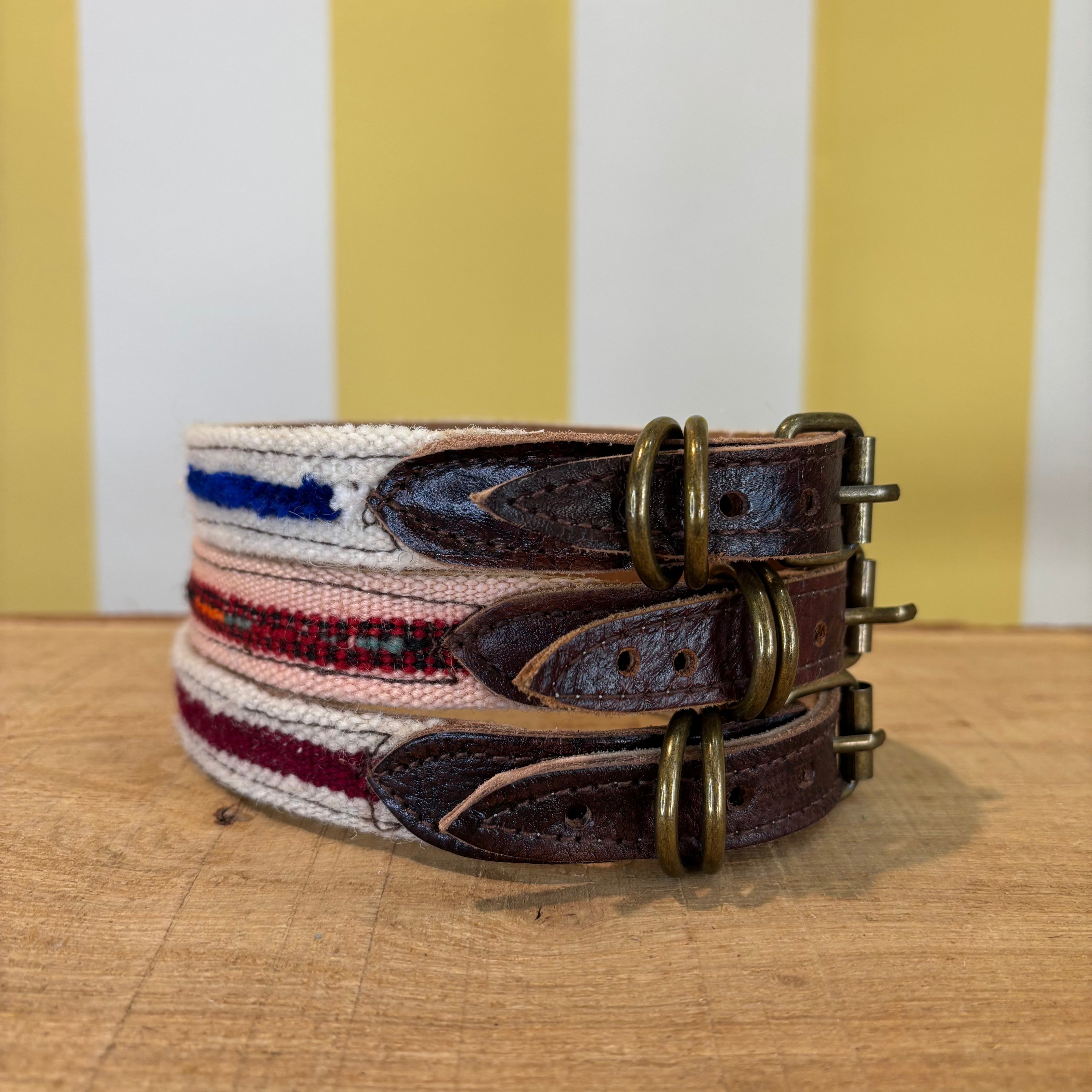 Abdu Robi Shop Moroccan “Robi” Collar – The Tetbury Pet Shop & Grooming