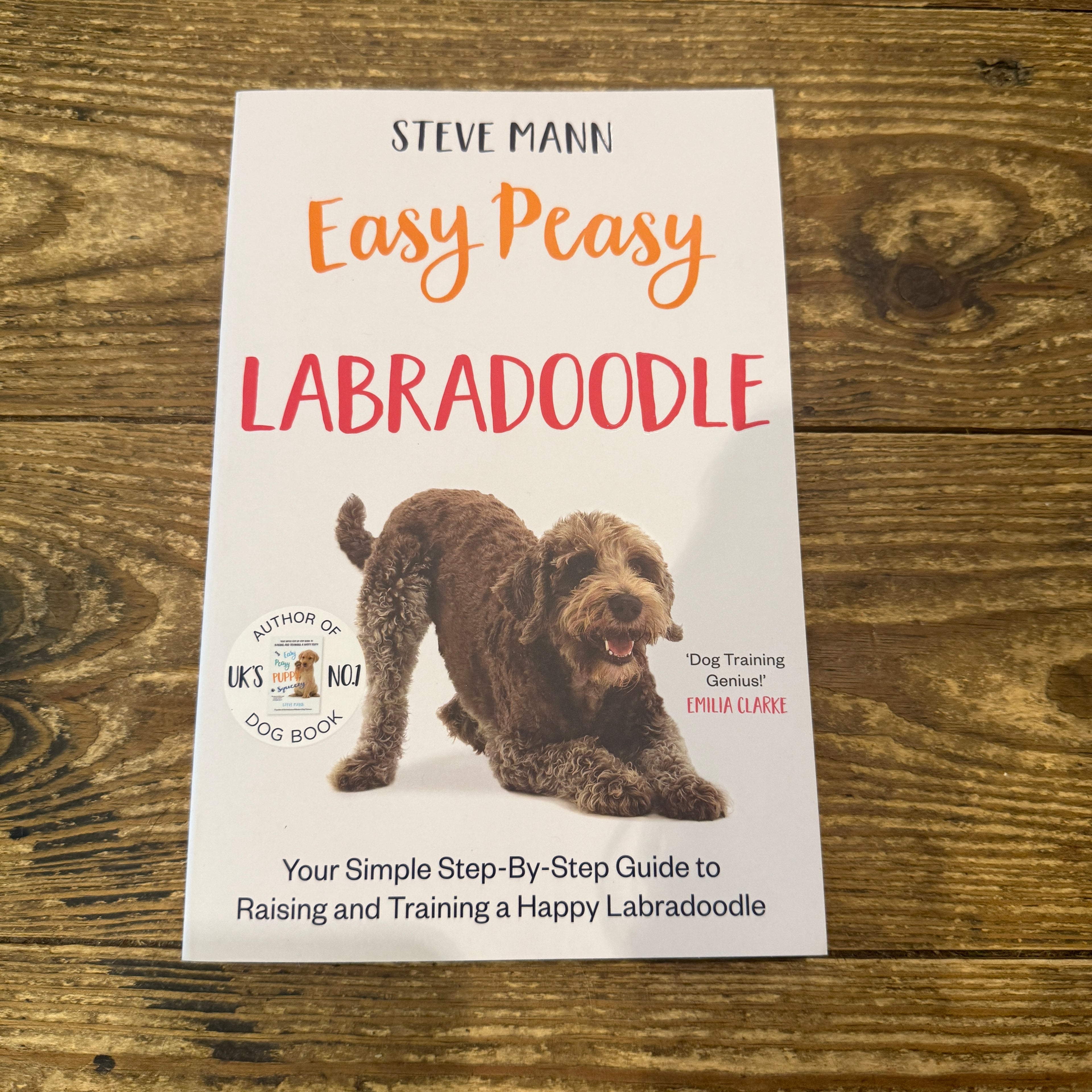 Easy Peasy Labradoodle by Steve Mann