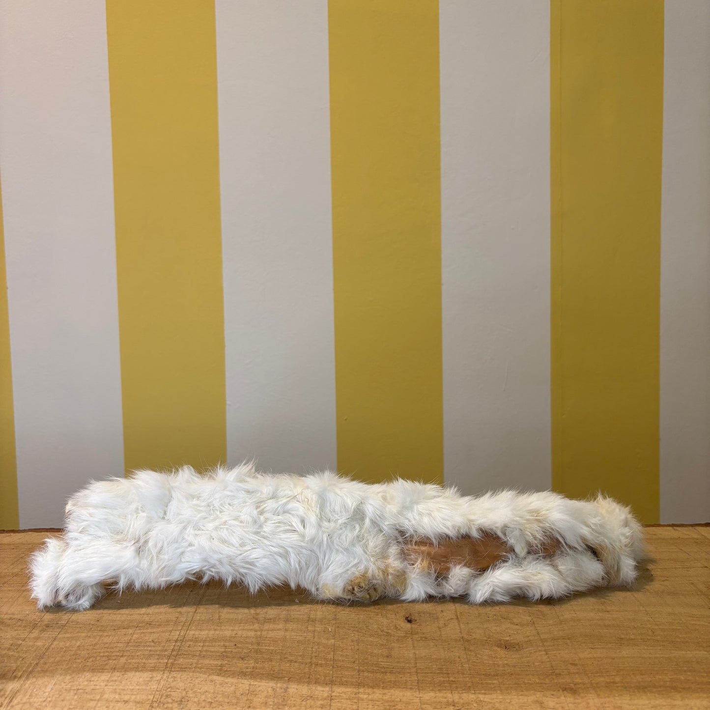 XL Hairy Rabbit Skin 30-35cm