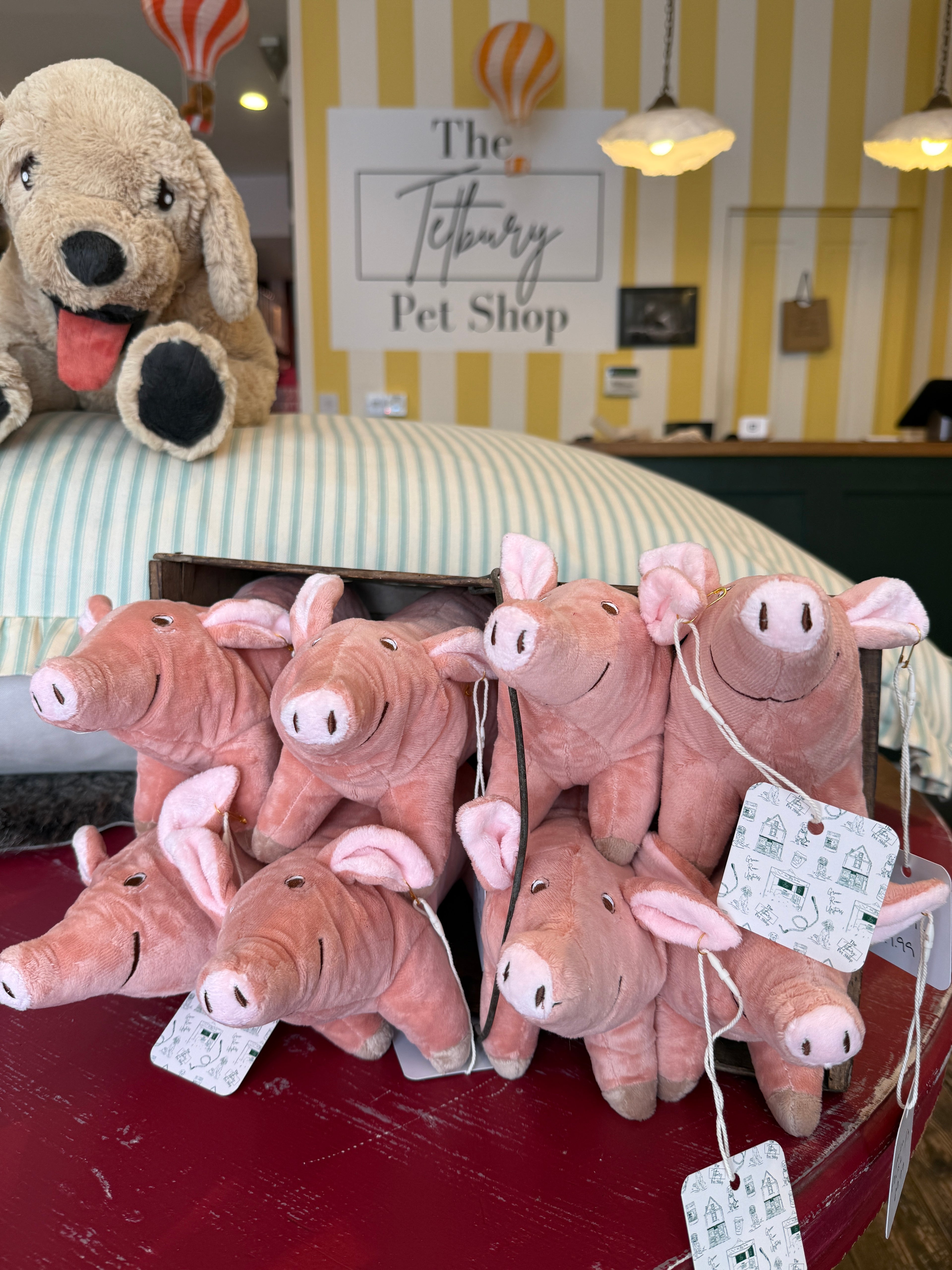 Mini Plush Pig