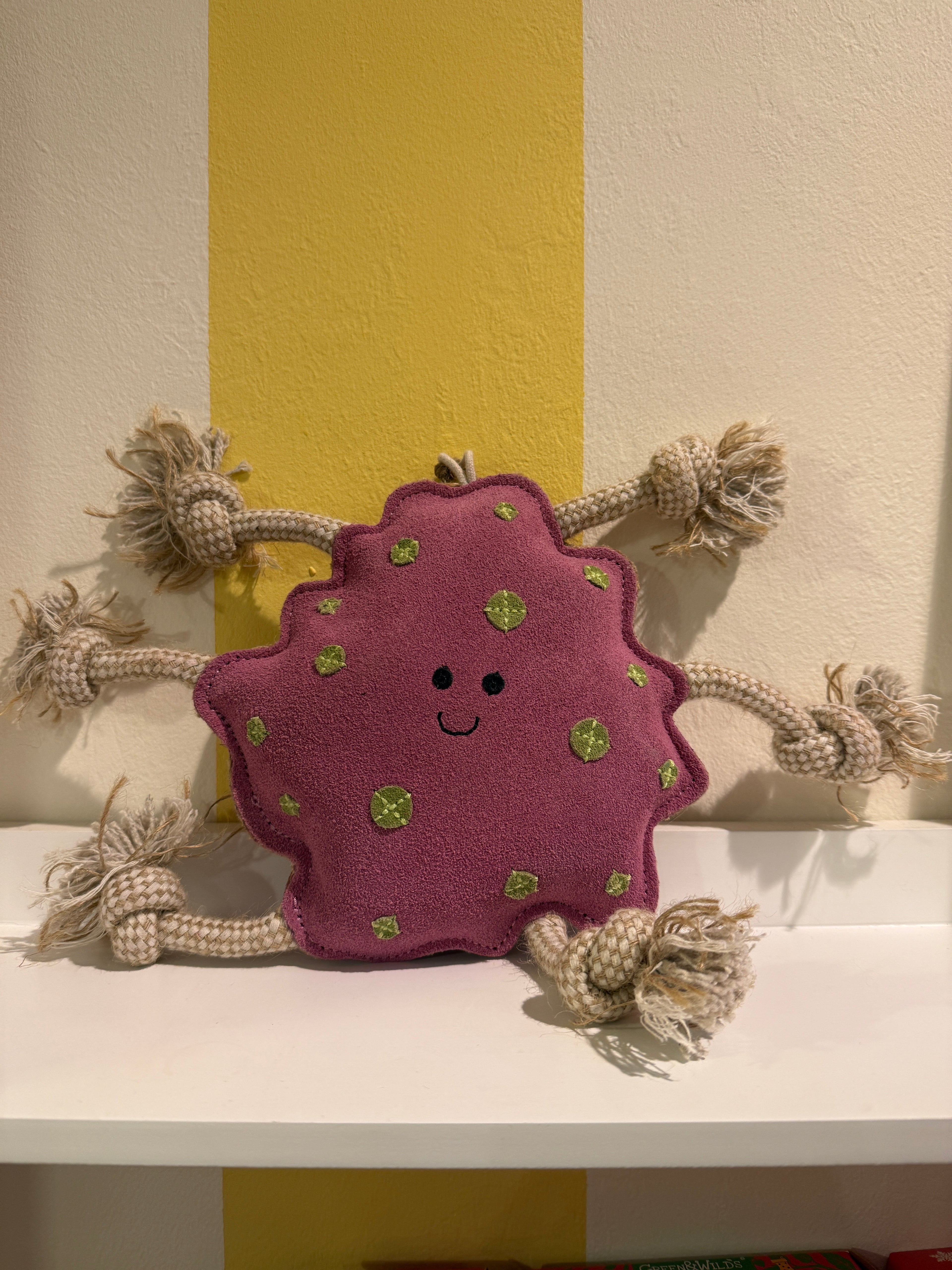 Green & Wilds Toys
