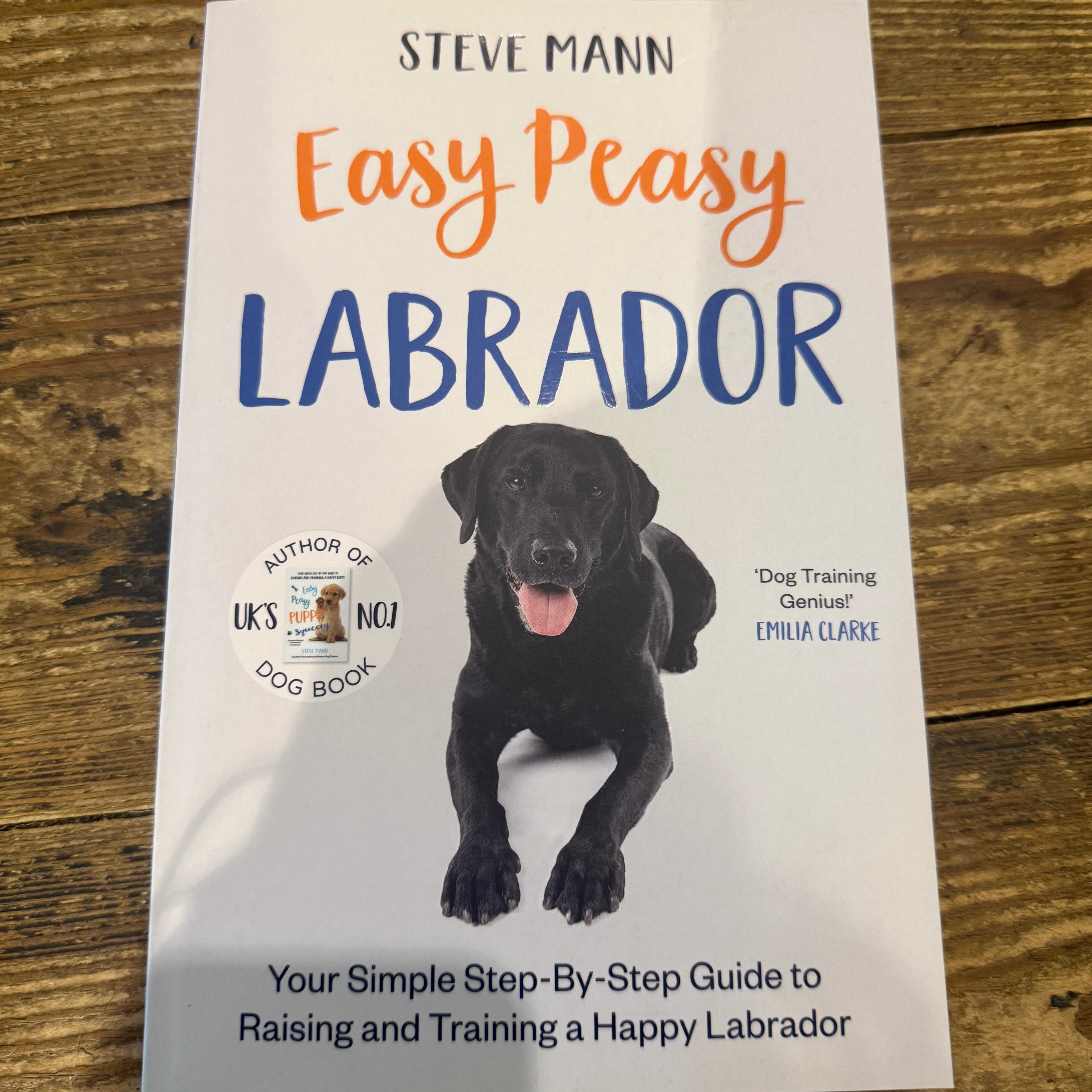 Easy Peasy Labrador by Steve Mann