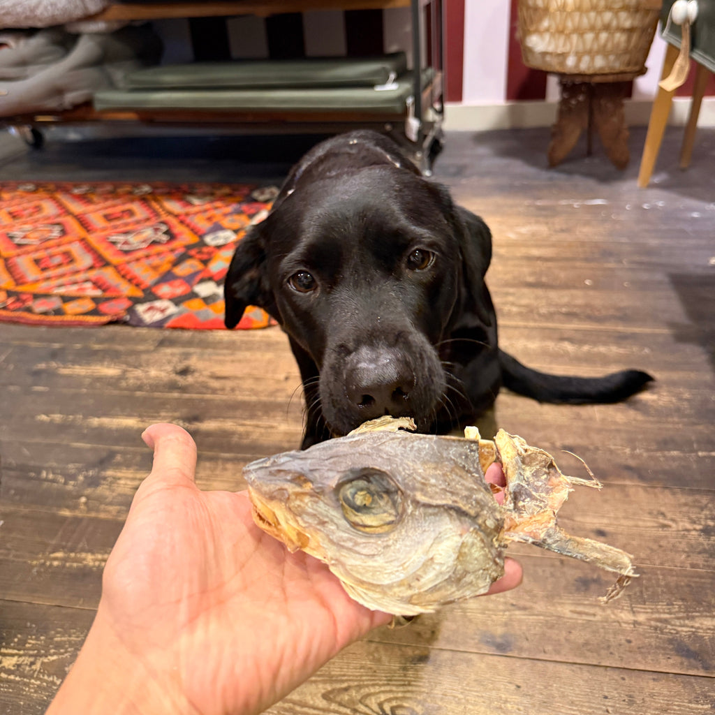 Haddock Heads