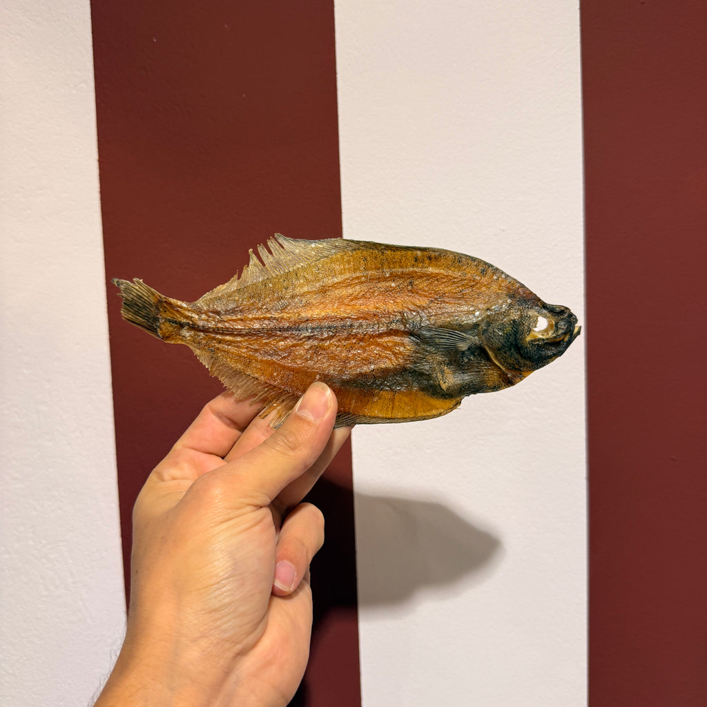 Dab Fish