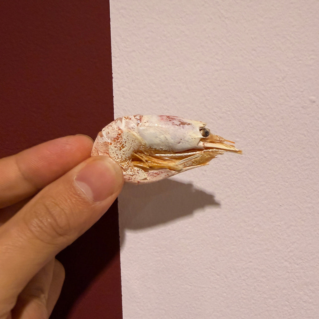 Dried Prawns